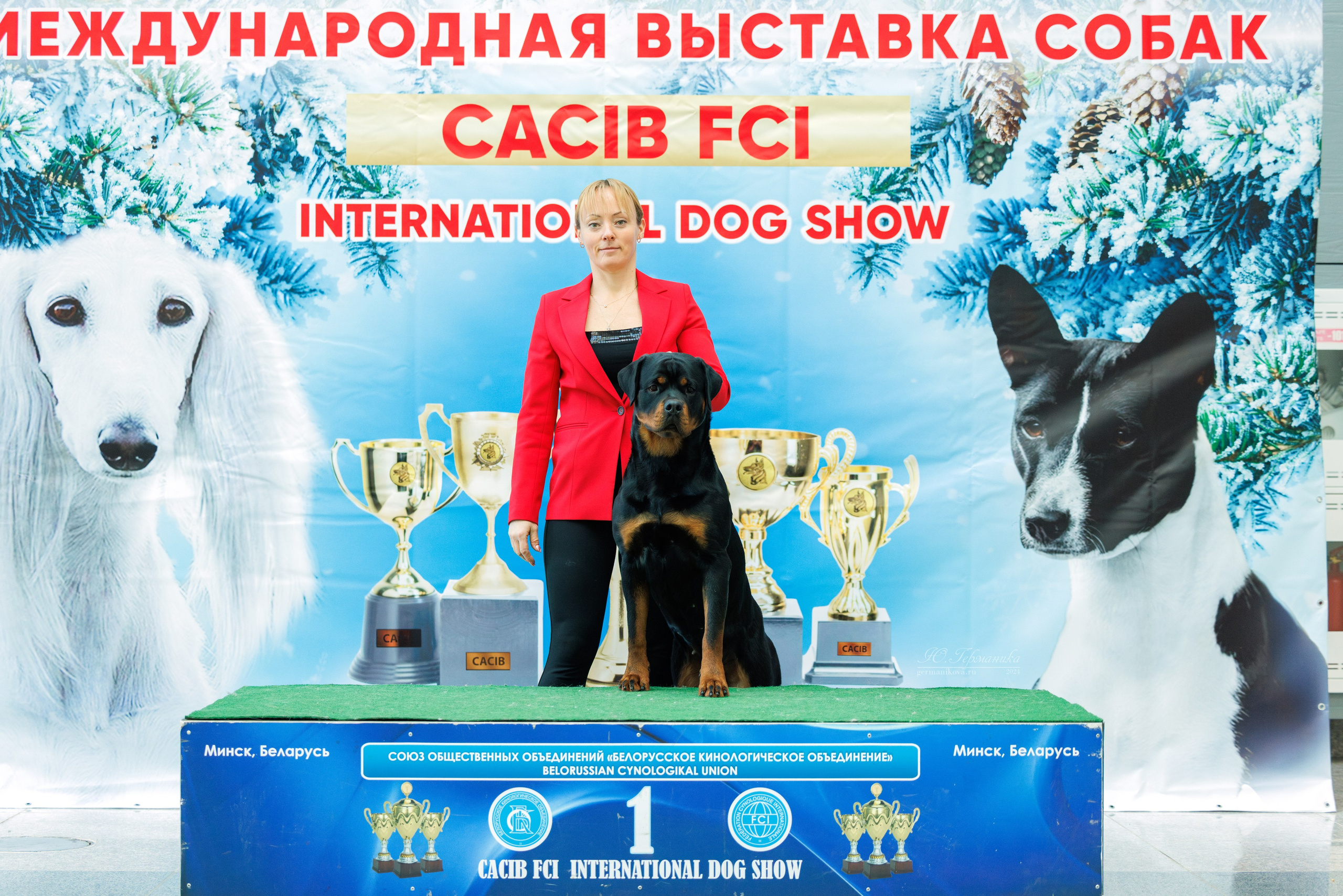 Минск 23.11.2024. Фотограф-анималист Юлия Германика