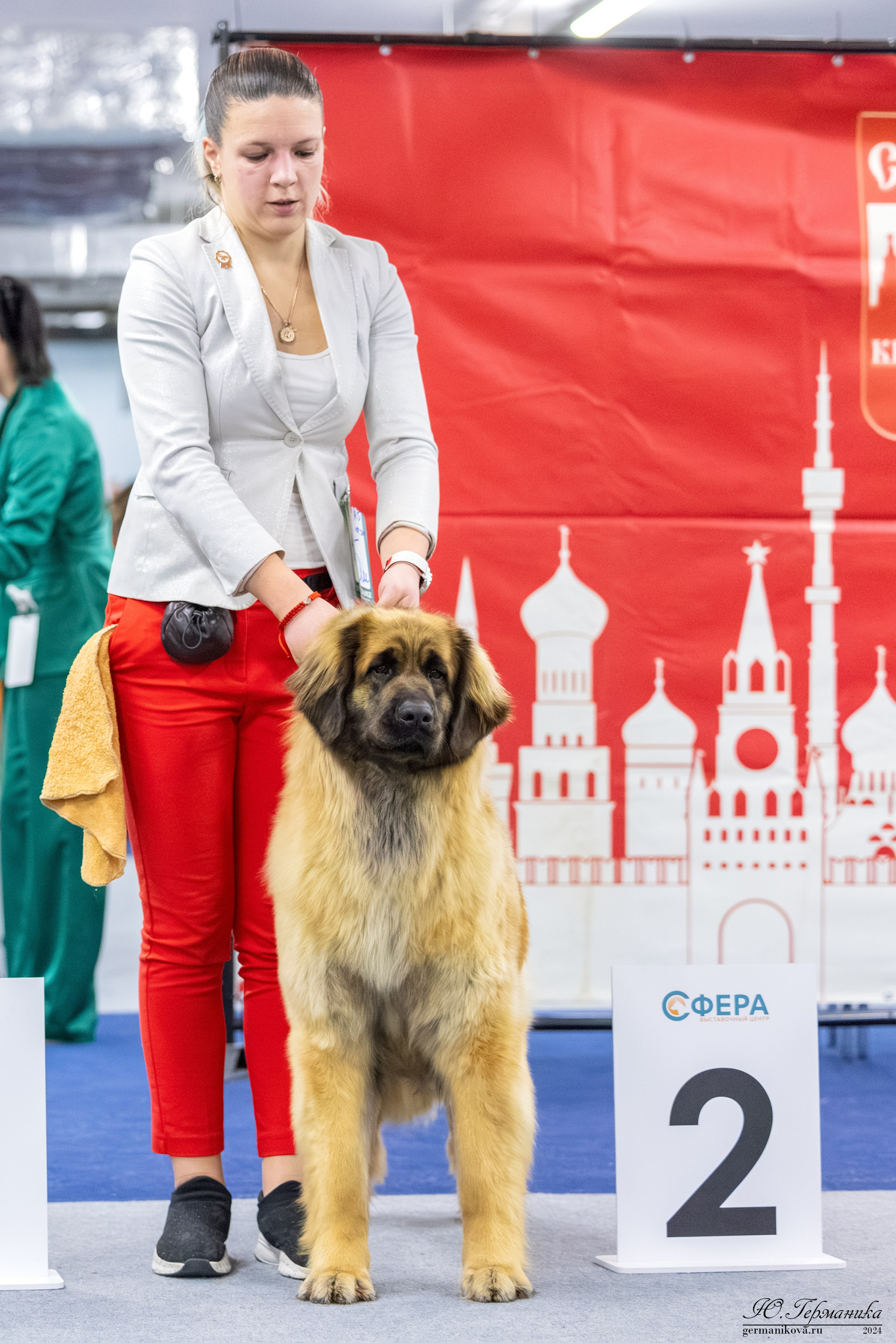 Сфера 17.03.2024. Фотограф-анималист Юлия Германика
