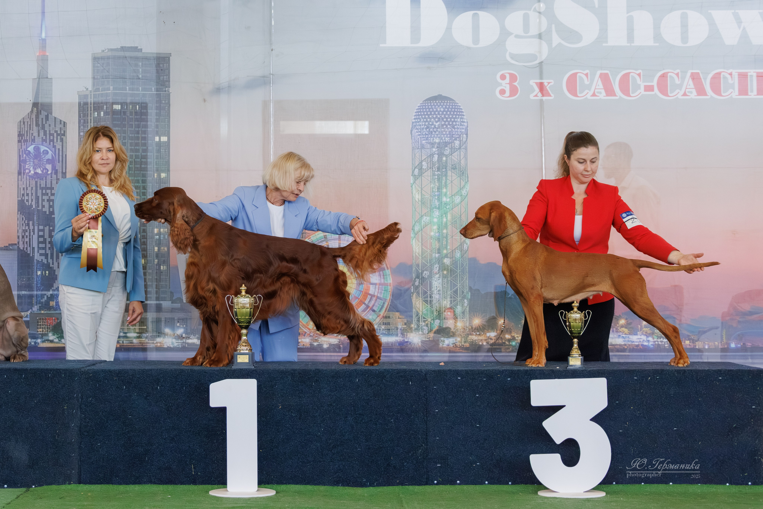 Батуми 3хCACIB 27-29.06.2025. Фотограф-анималист Юлия Германика