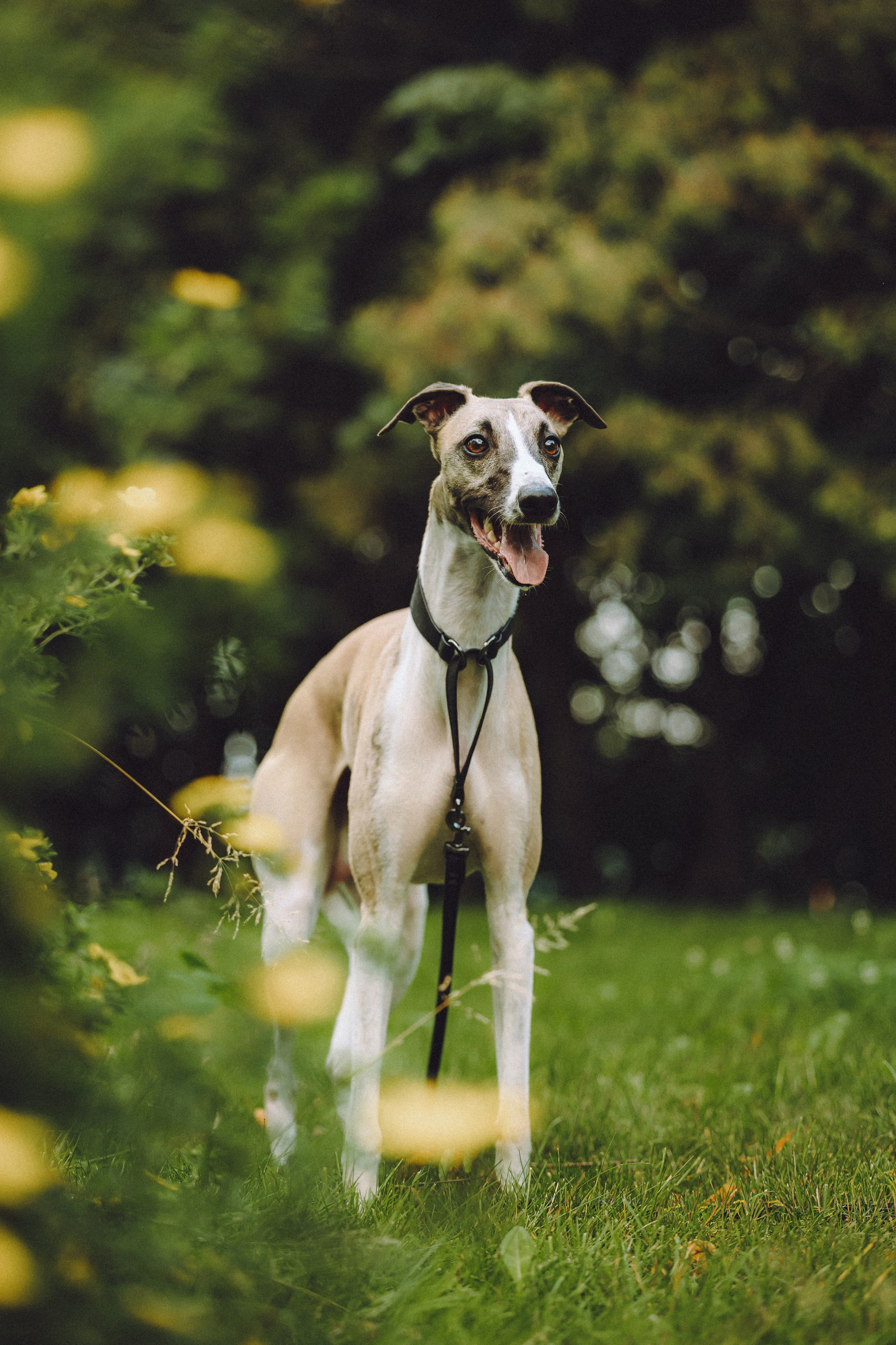 Ирина, Илья и Рик