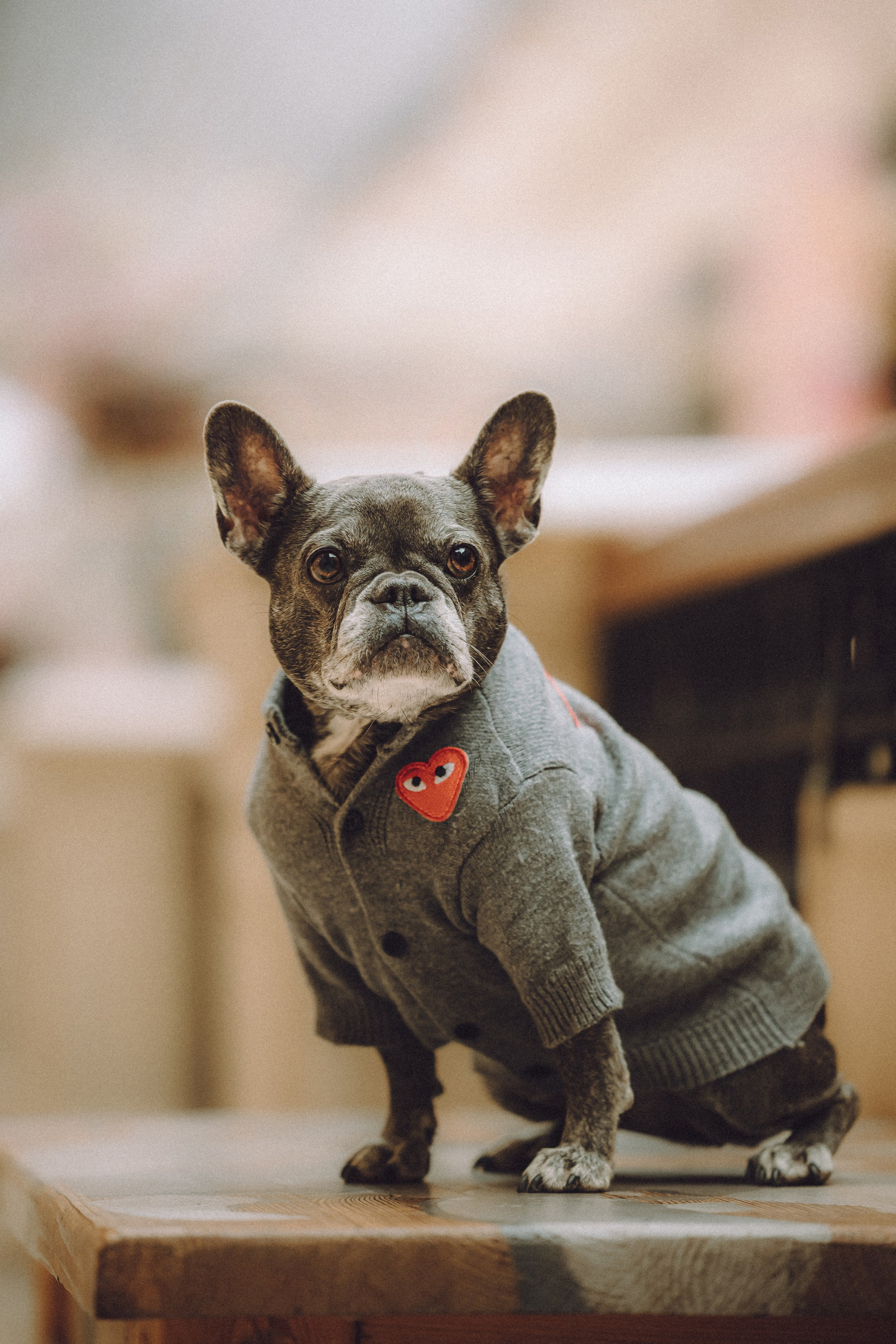 Юля, Вова и Моня