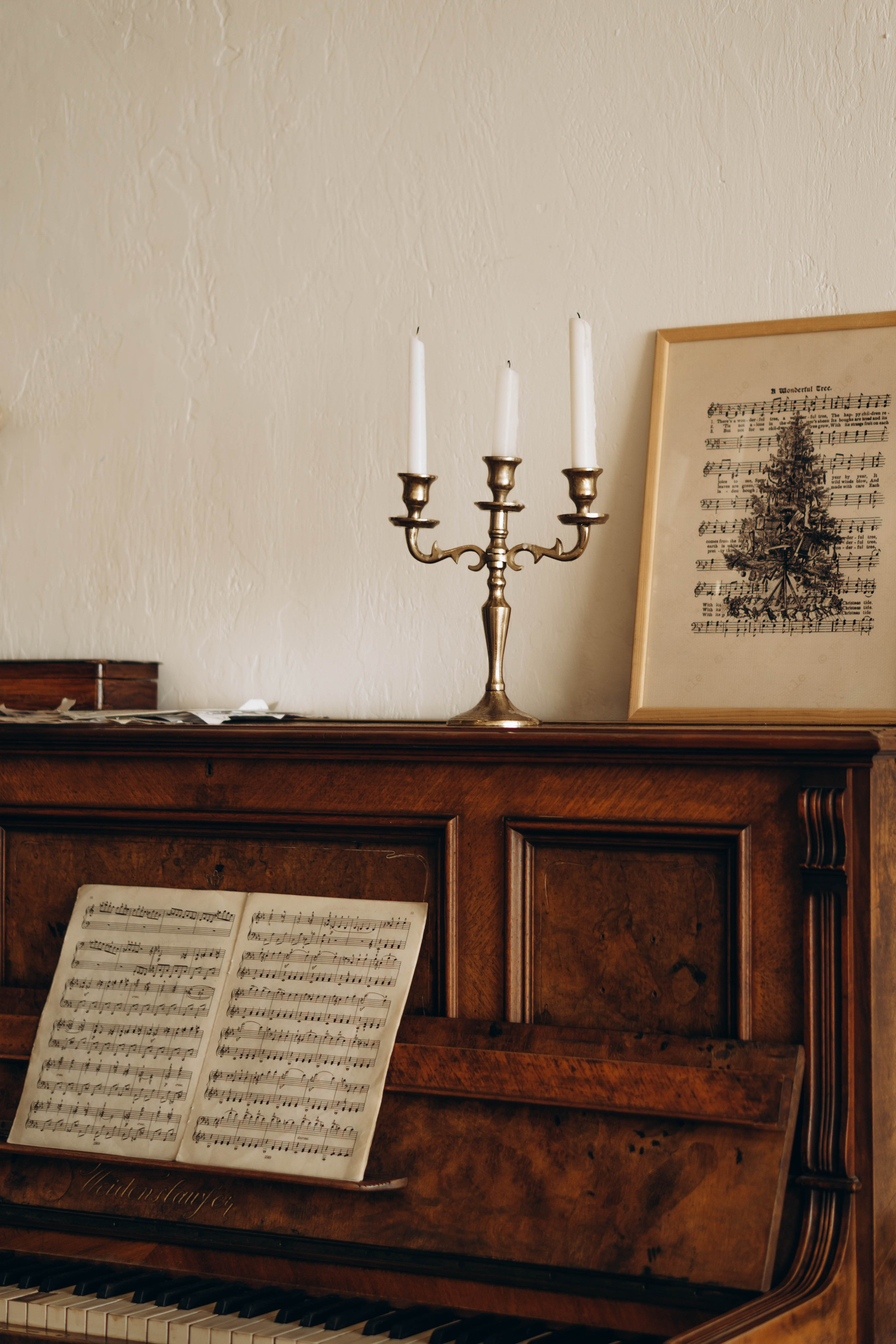 Мария. Фотограф Москва Валерия Веденина