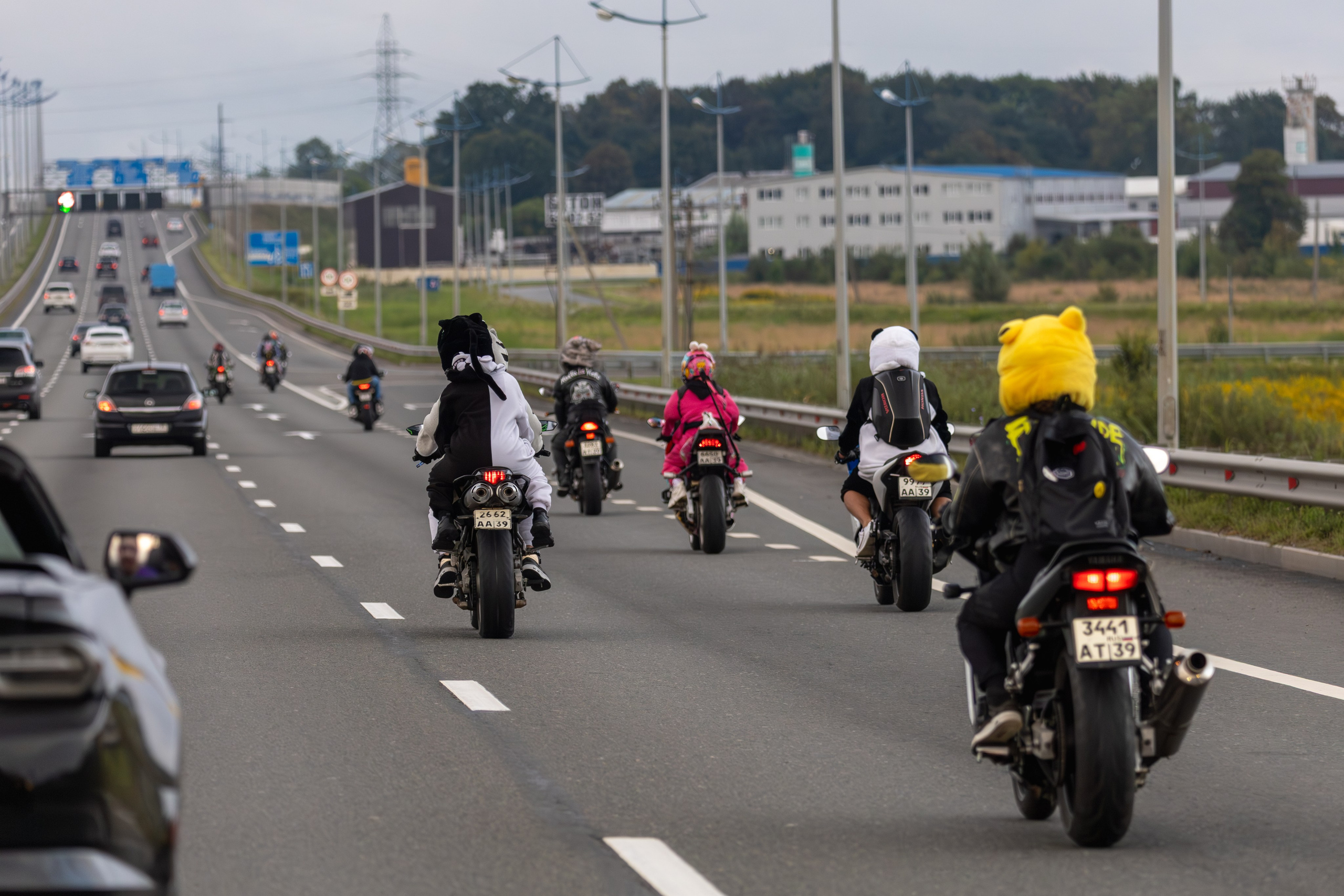 Закрытие Летнего сезона — 2025. — Digital Noise —