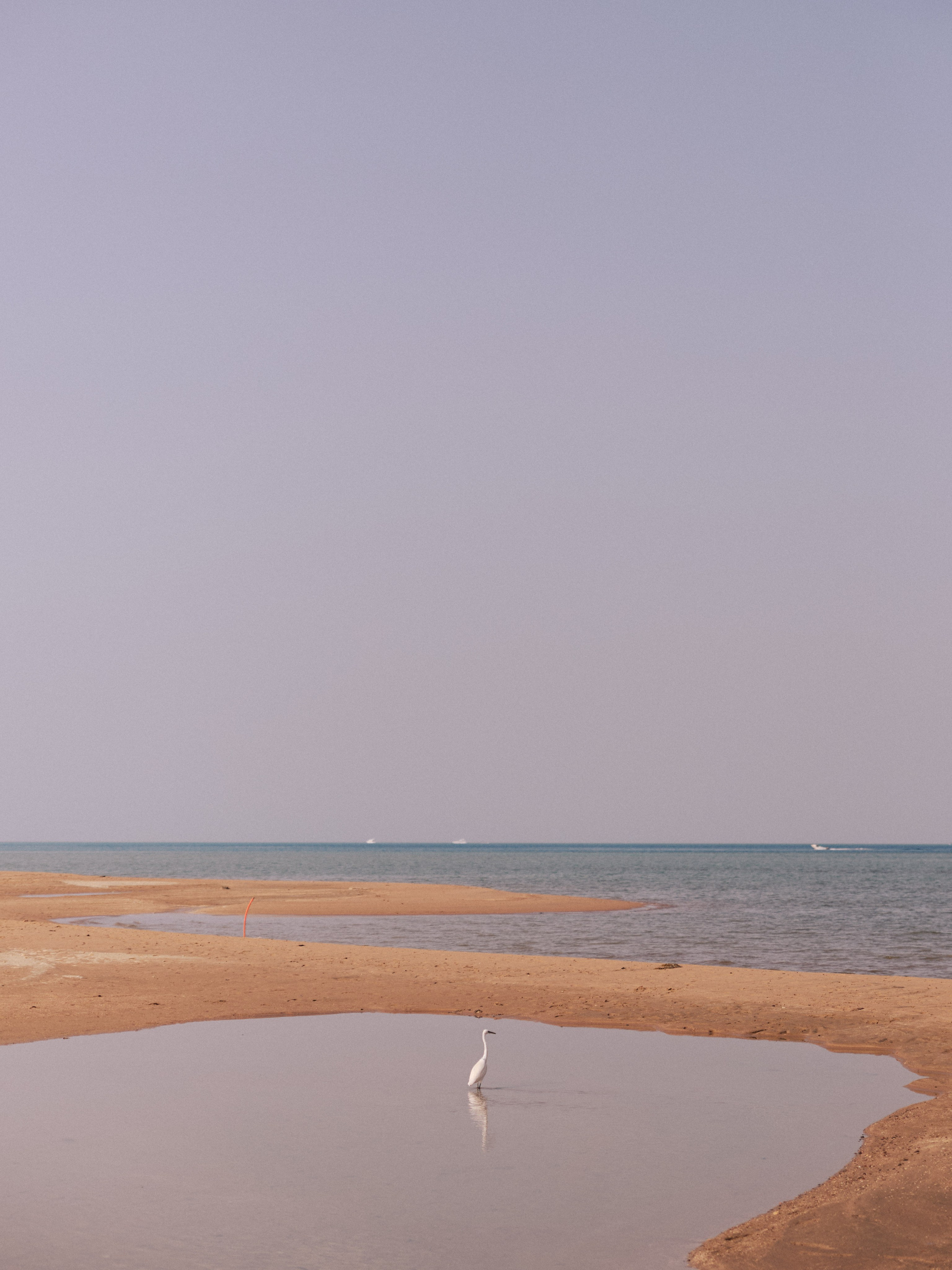 Природа. Jorgis Talè — photographer, kind person, teacher of arts and other mag