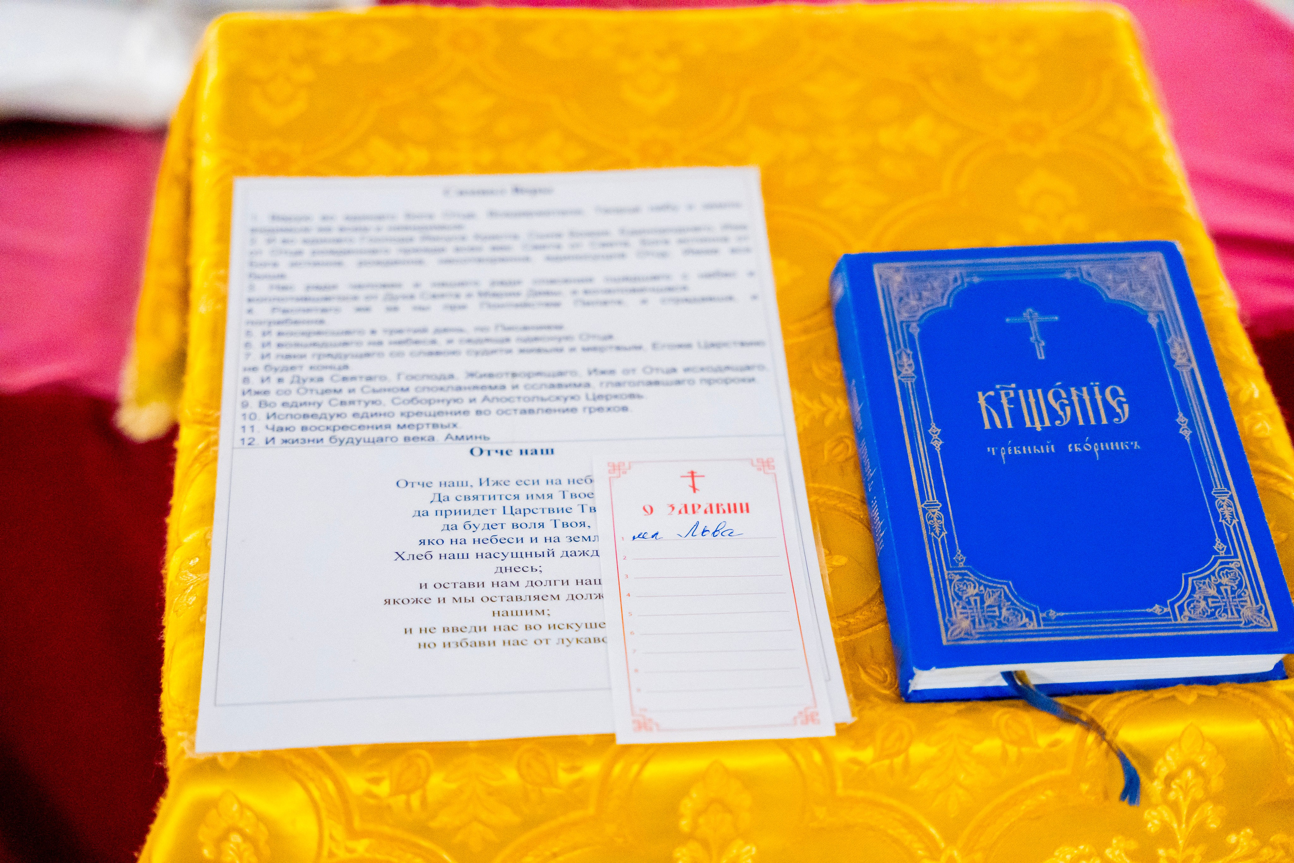 Крещение Льва. Фотограф Юлия Попова