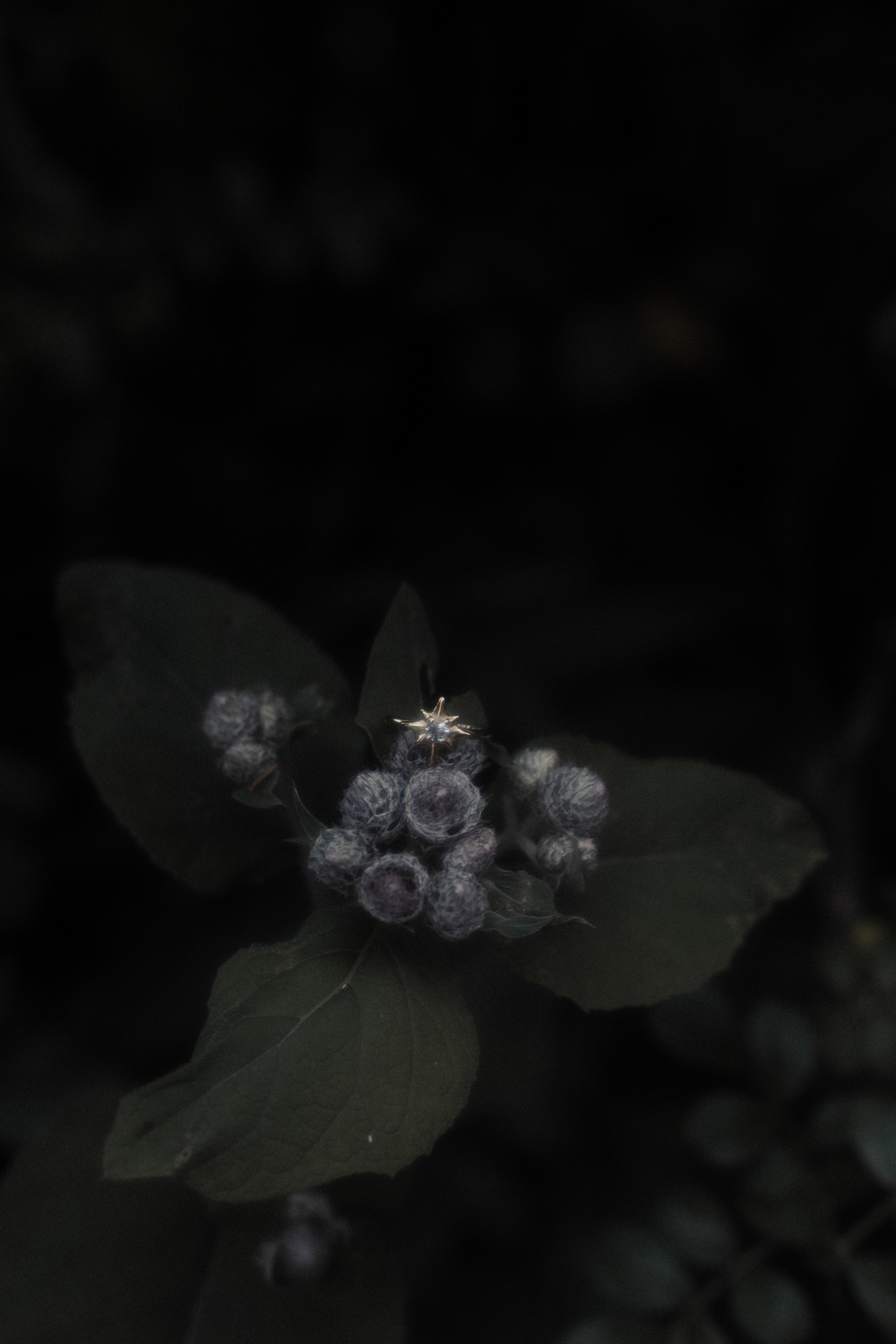 Anicca бренд украшений. Мистический фотограф | Санкт-Петербург