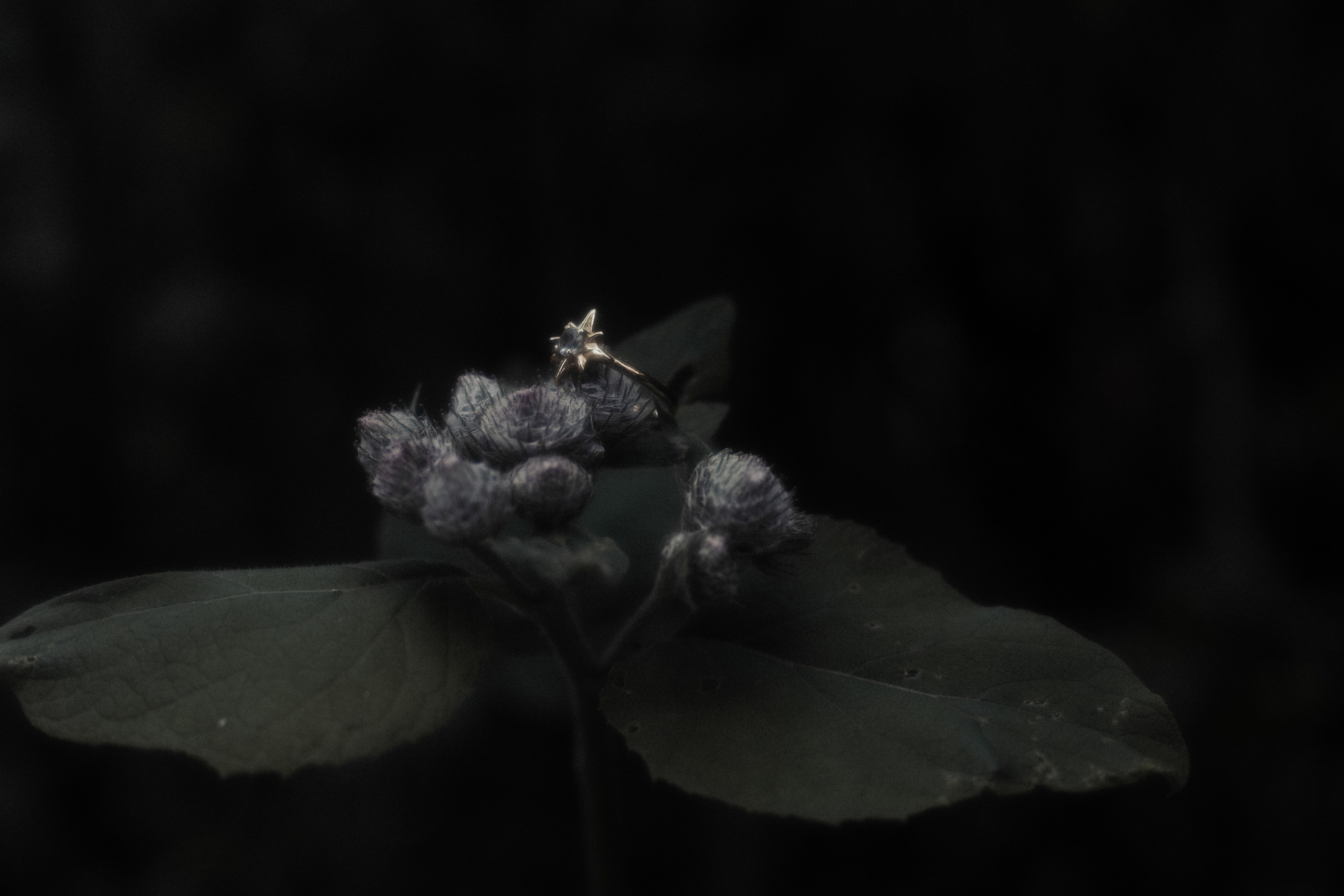 Anicca бренд украшений. Мистический фотограф | Санкт-Петербург
