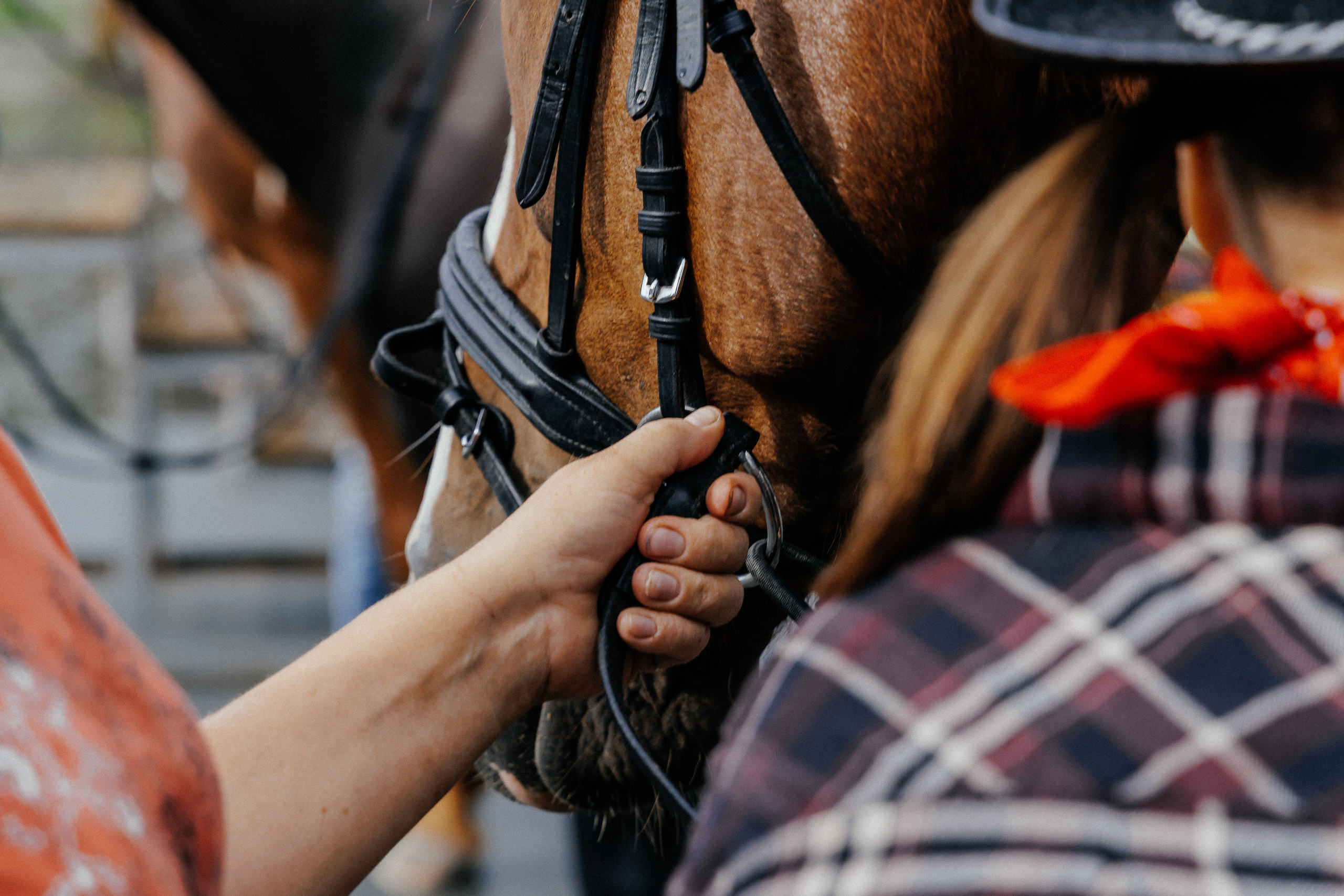 KSK Raid. Фотограф Иван Гуляев