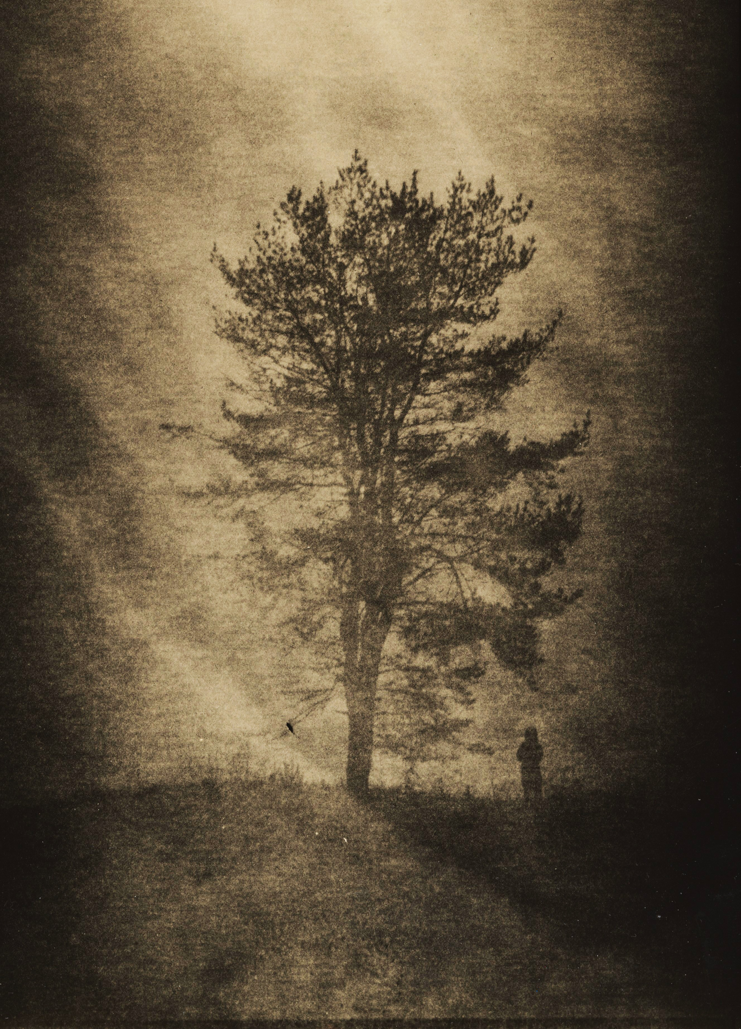 Lith prints. Darkroom aesthetics