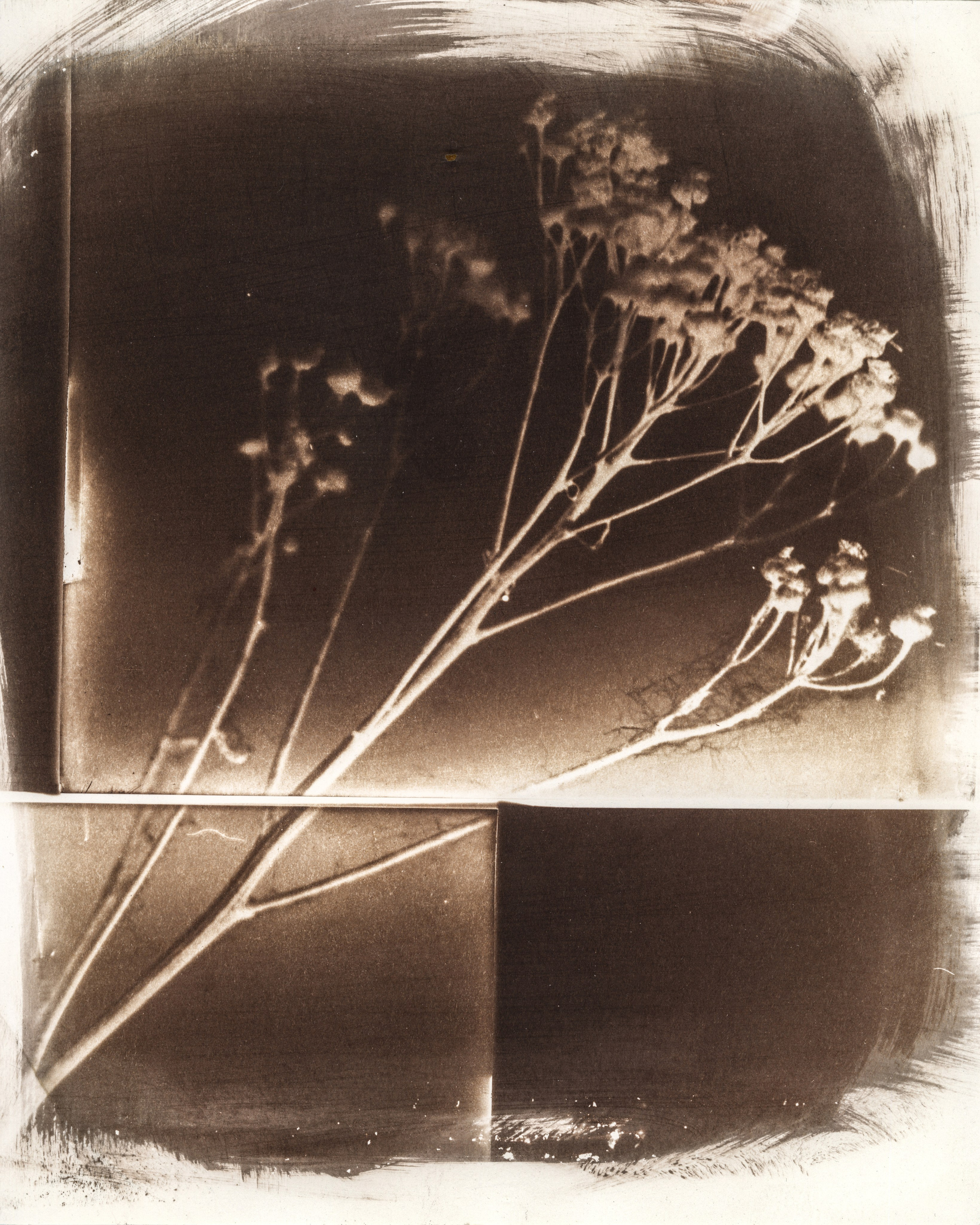 Alternative processes | gumoil | cyanotype | van dyke. Darkroom aesthetics