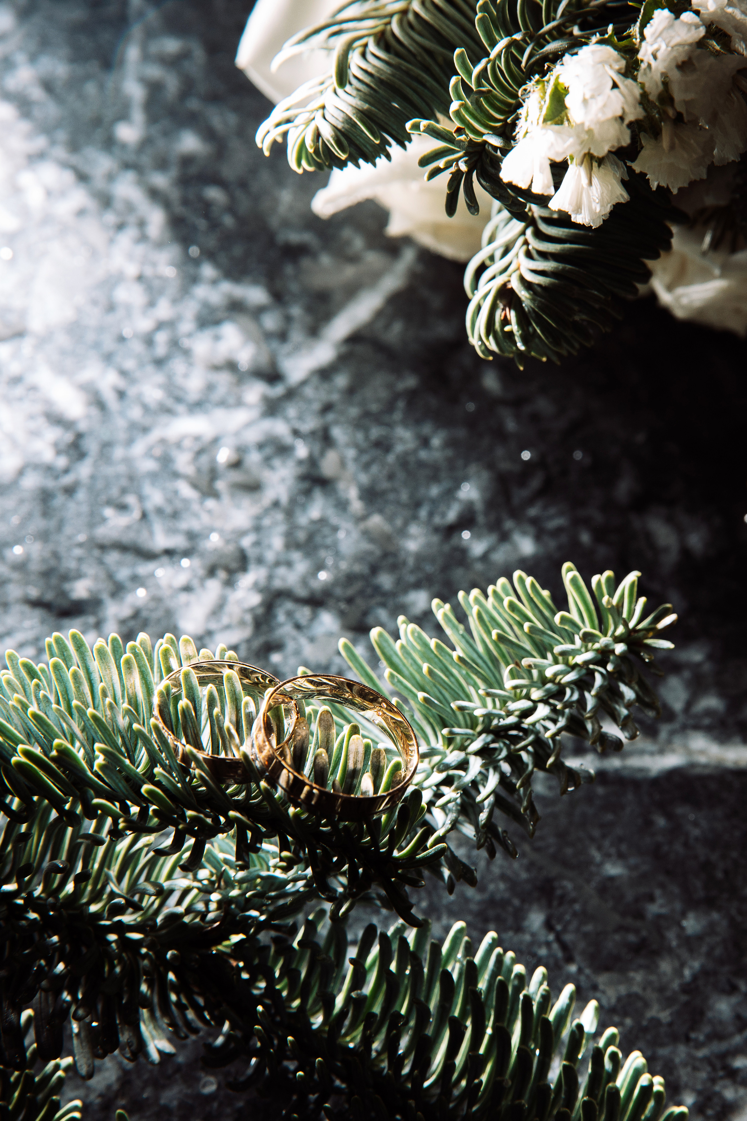 Илья и Анастасия. Свадебный и портретный фотограф в Сыктывкаре и в Москве Новосельцева Алена