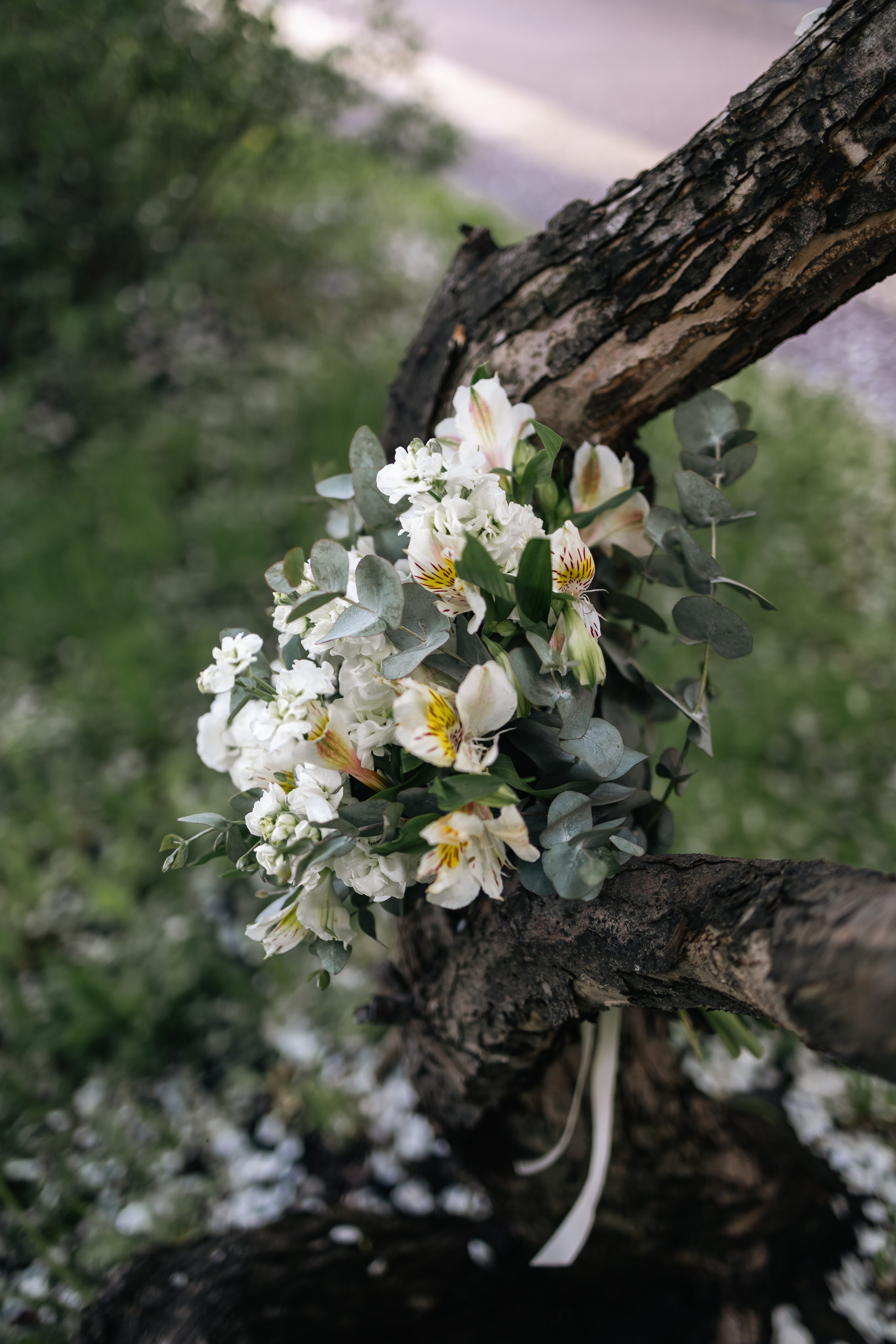 Оксана и Константин. Екатерина Пашкова, фотограф, видеограф в Томске