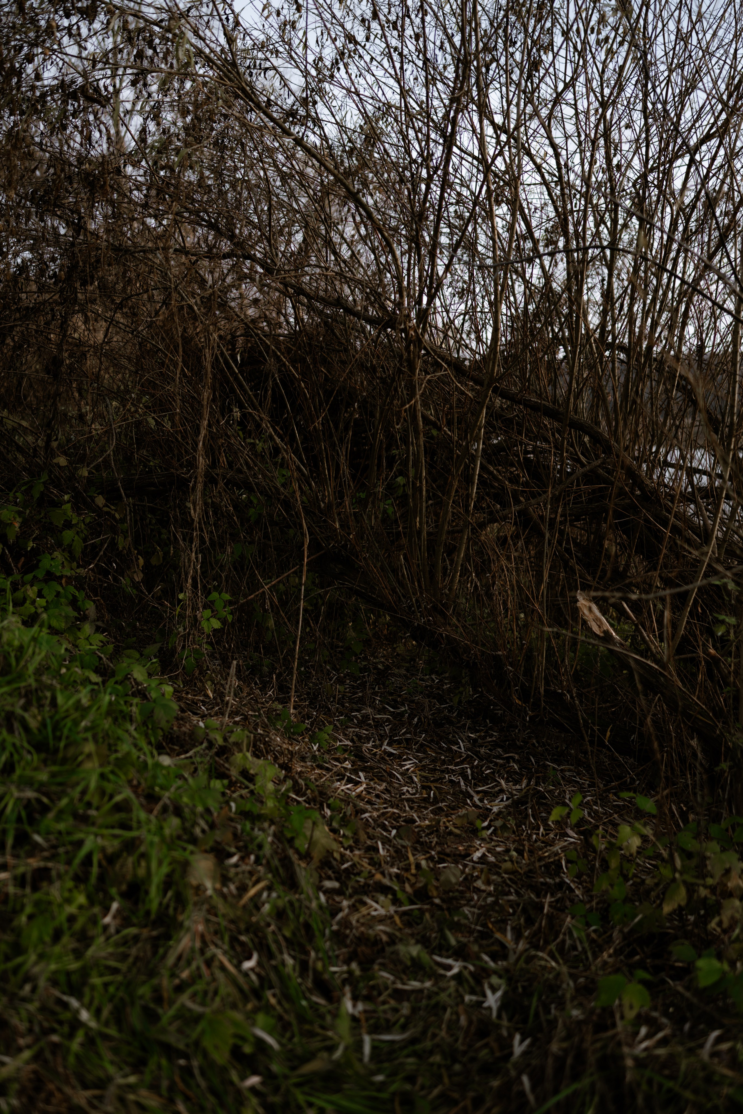 Кольцовские пещеры. Vlad Trykov