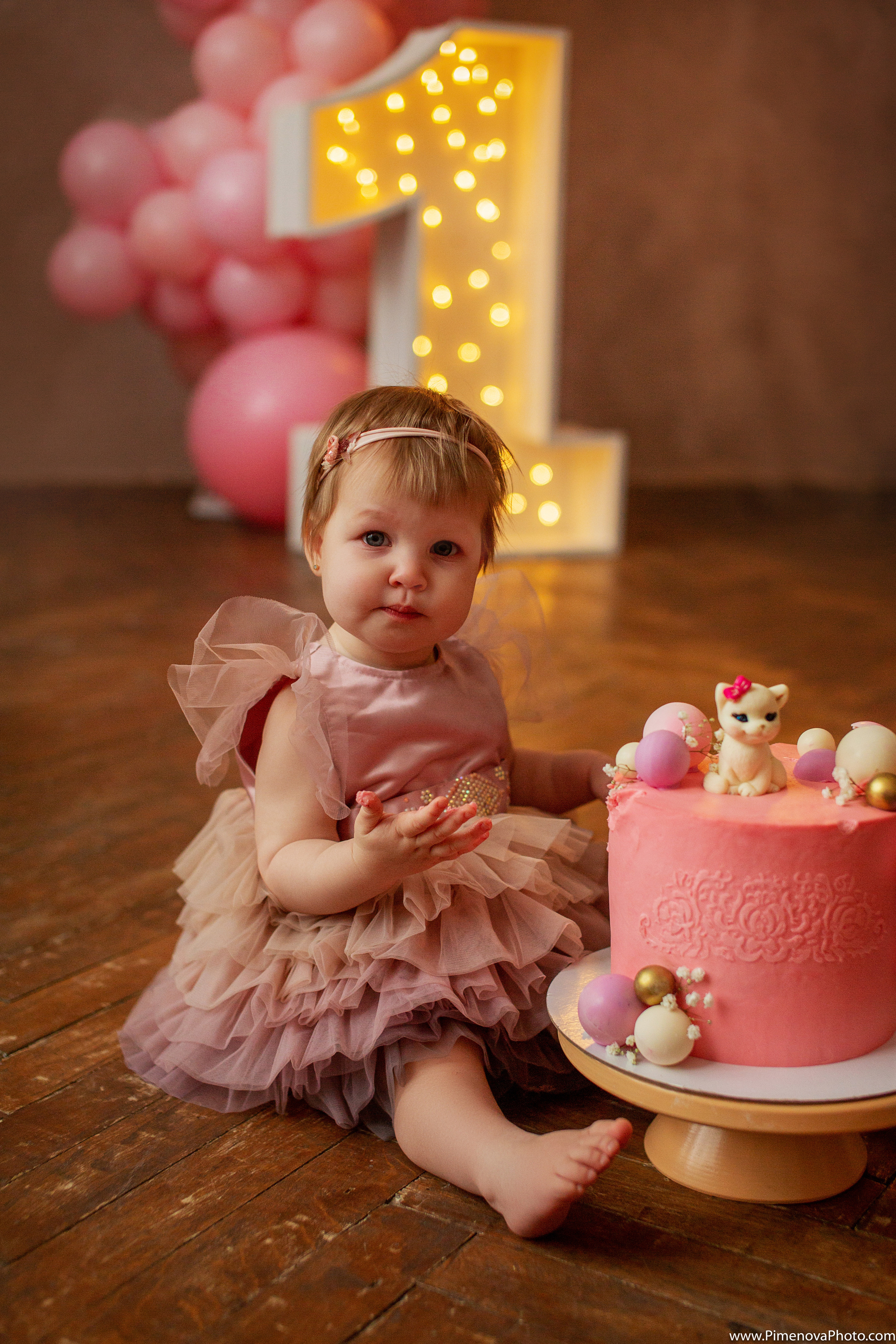День Рождения. Семейный и детский фотограф в Петрозаводске