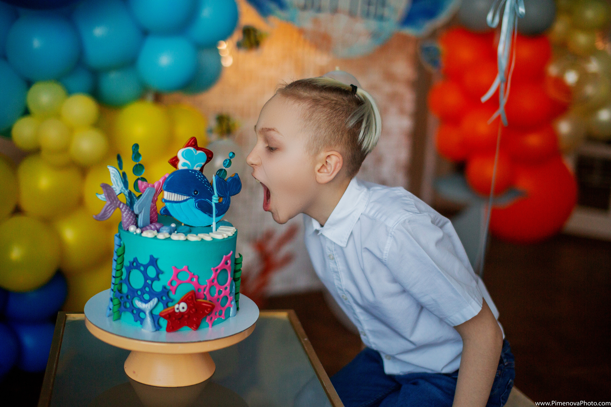 День Рождения. Семейный и детский фотограф в Петрозаводске