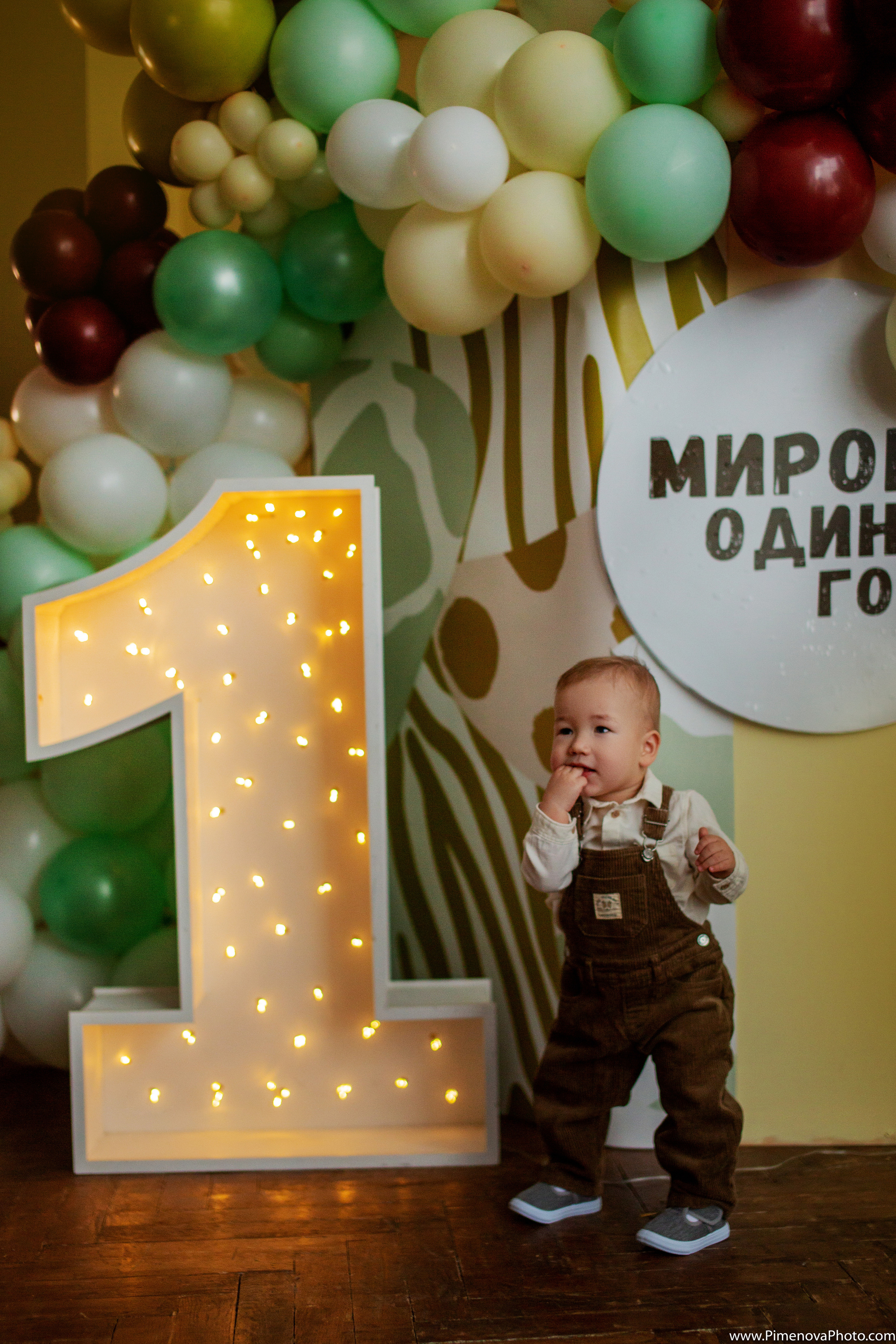 День Рождения. Семейный и детский фотограф в Петрозаводске