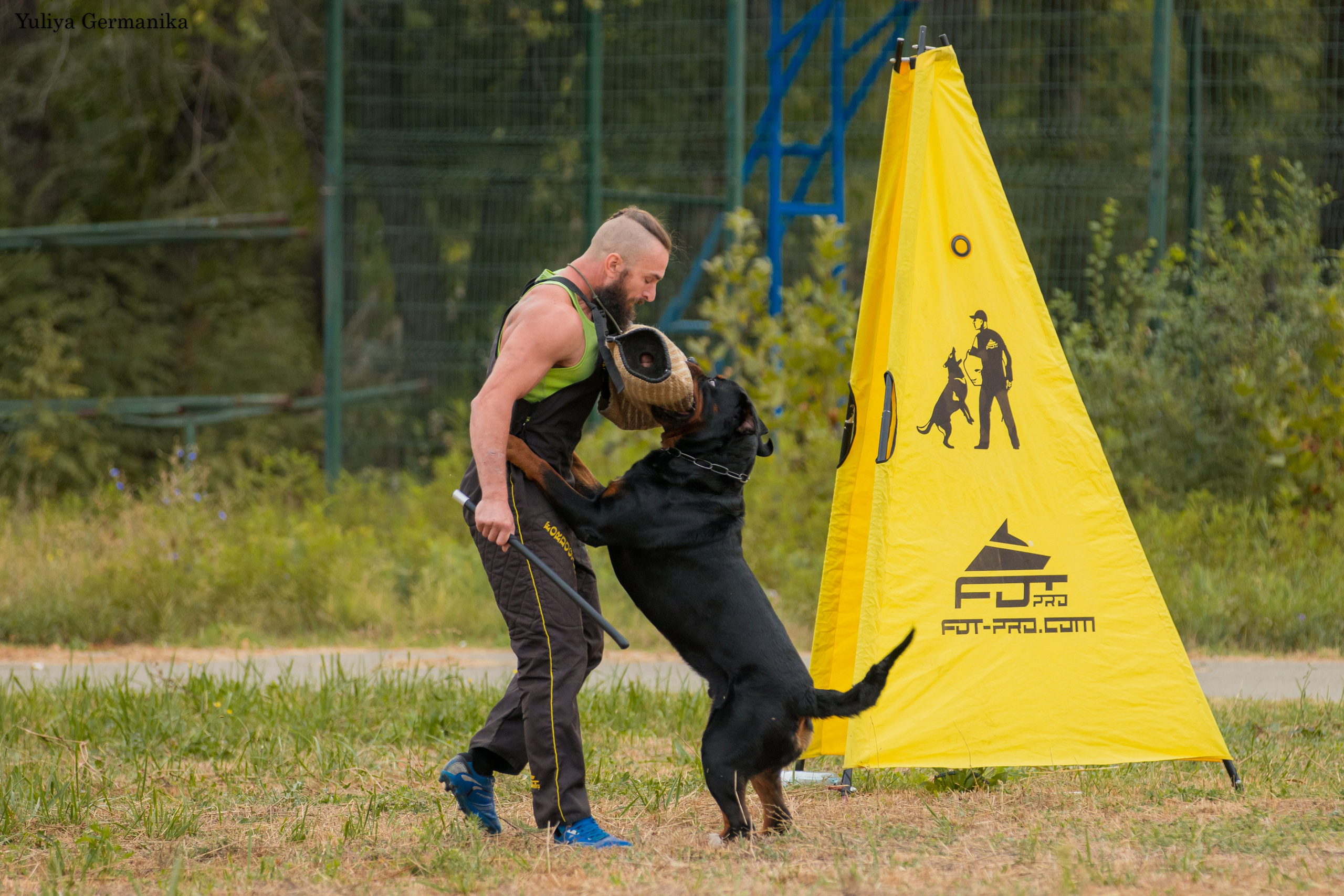Анапа 16-17.09.2023 моно ротвейлеров. Фотограф-анималист Юлия Германика