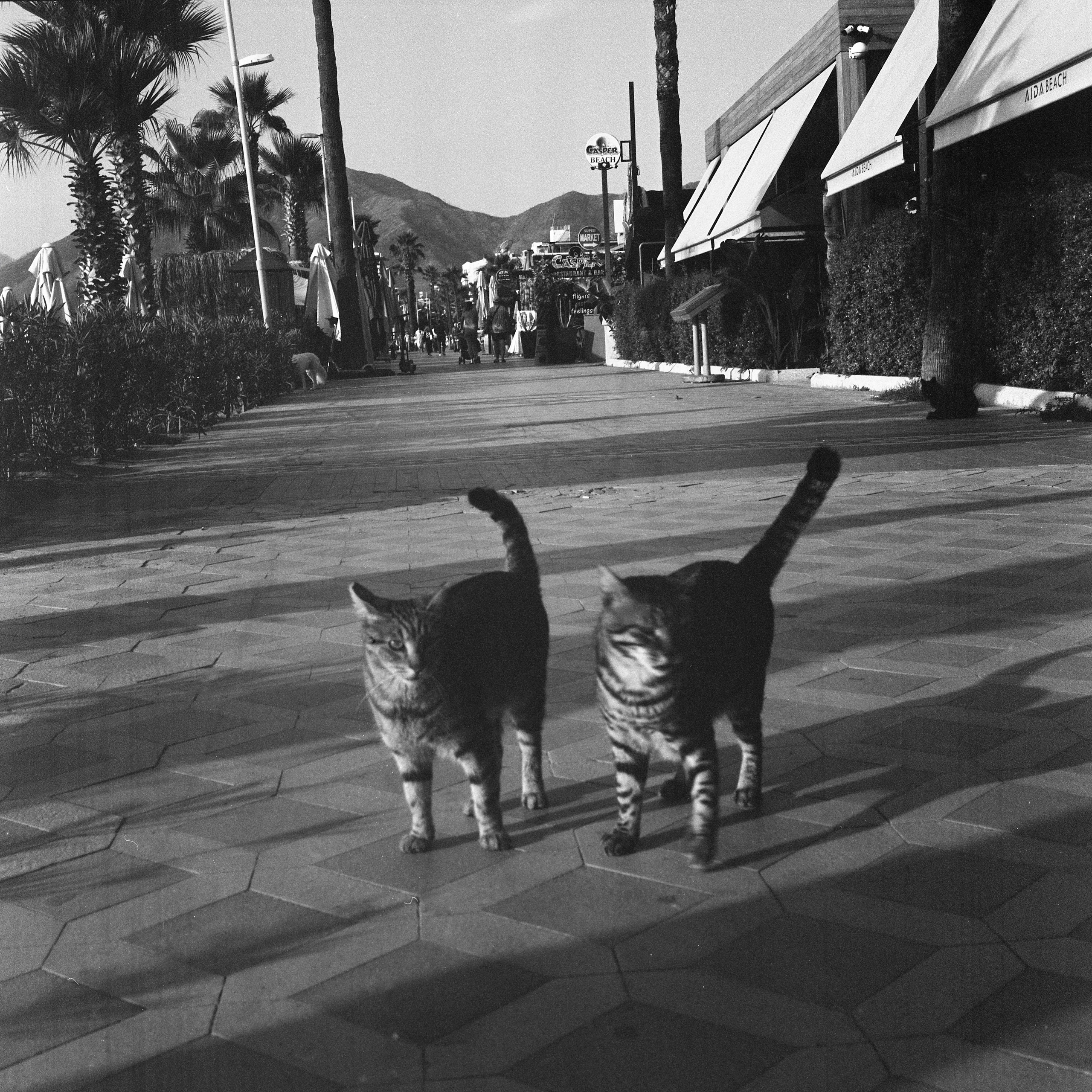 Турция, Разные Регионы. Елена Никитина. Фотохудожник. Пленочная фотография. Принты