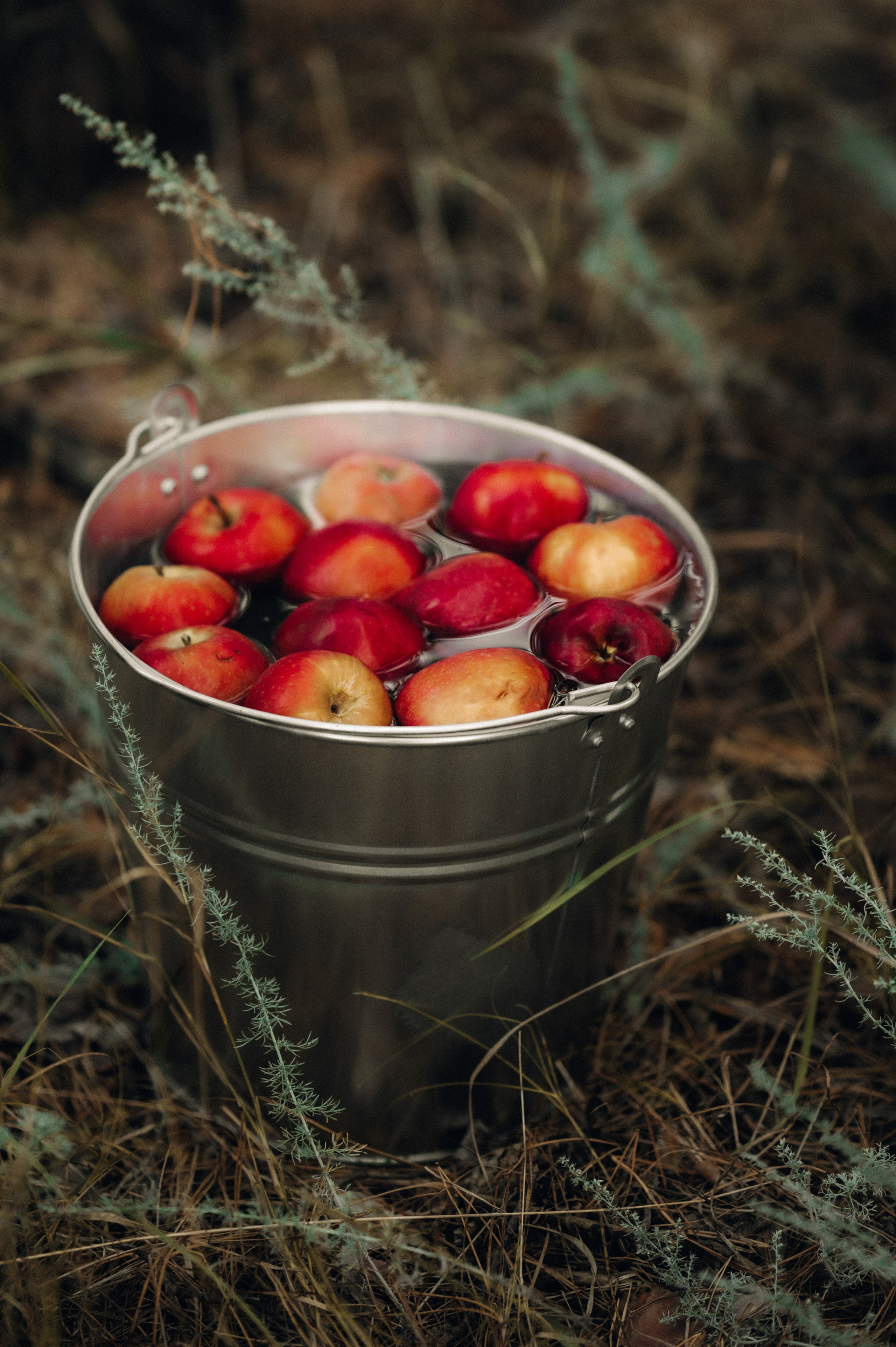 Эльфийские мотивы. Семейный и свадебный фотограф в Самаре
