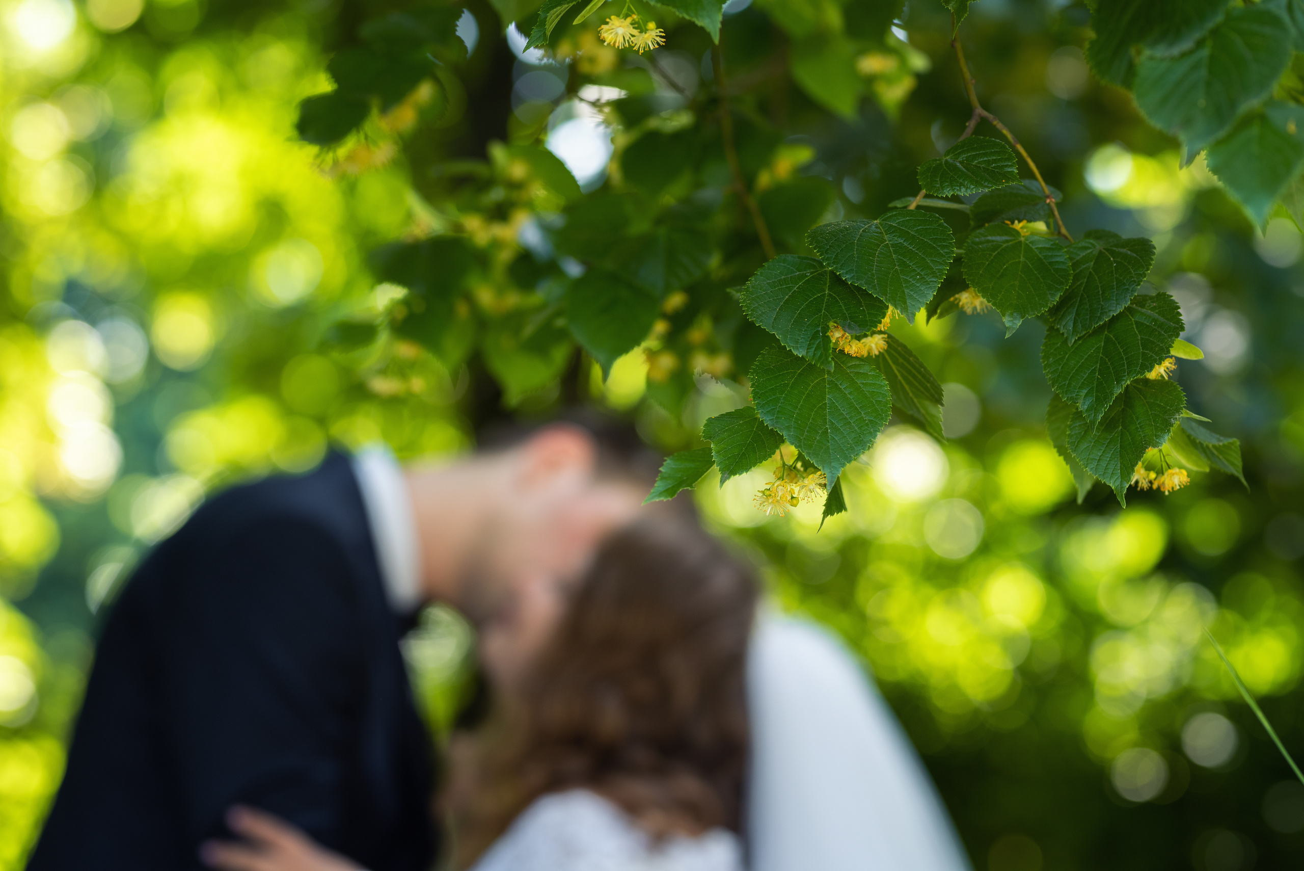 Как выбрать лучшего фотографа. Мария Прищеп. Профессиональный фотограф в Краснодаре