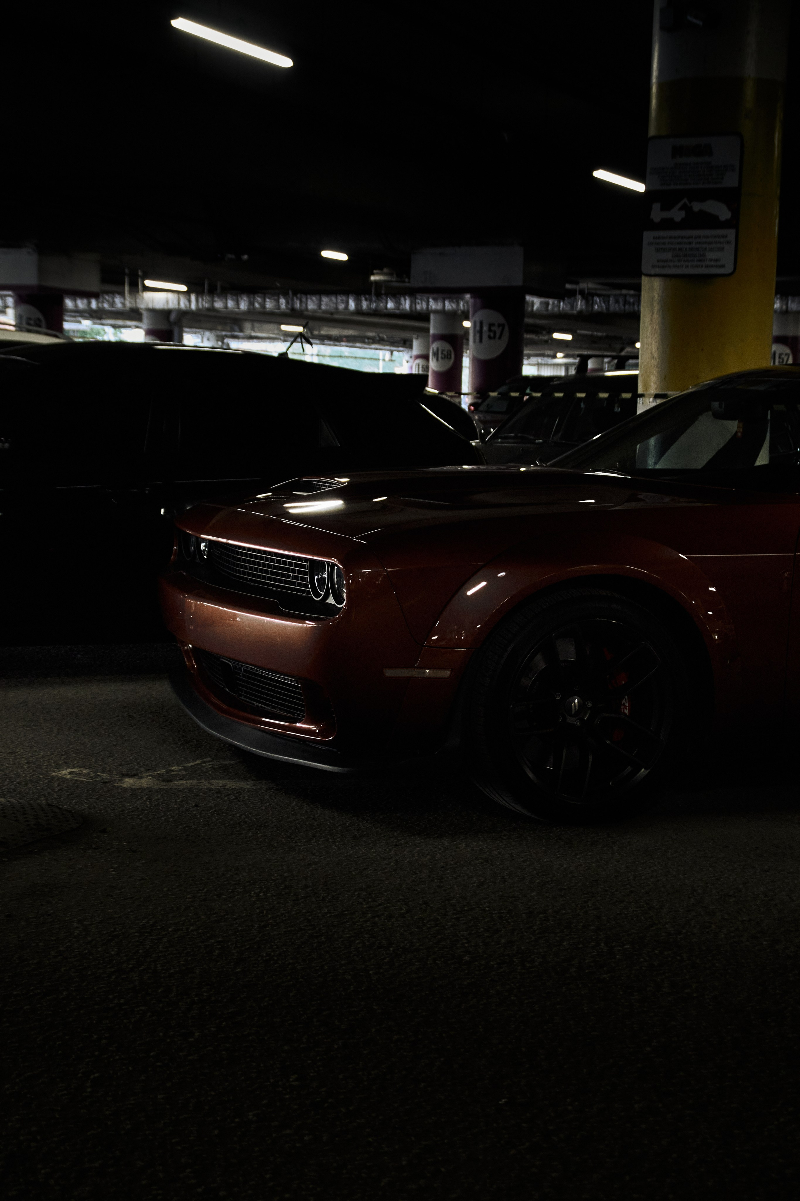 DNB 24. Фотограф Александр Рауш