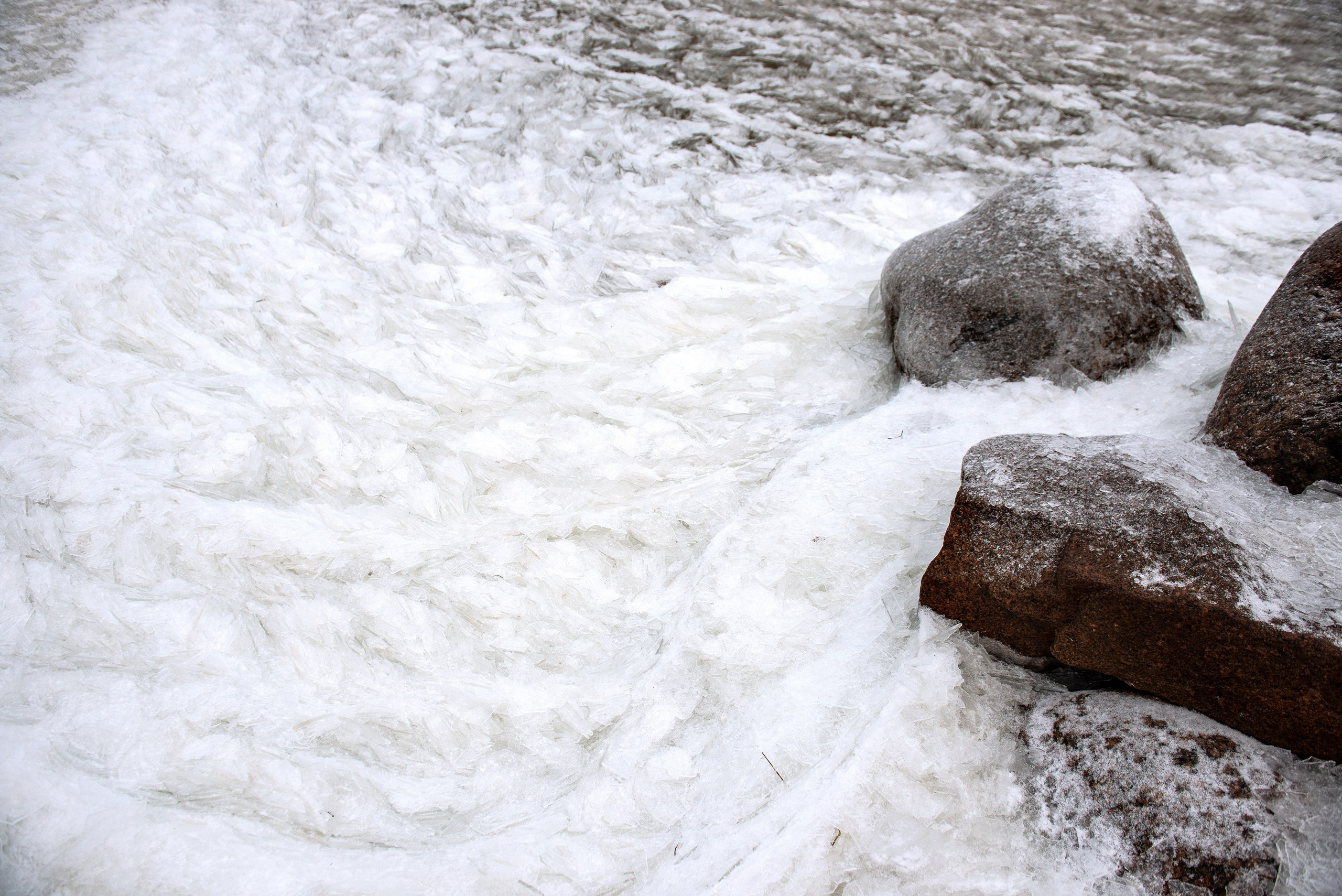 Landscape, nature, plants, details of the world around us. Personal website of photographer Dmitry Raikin