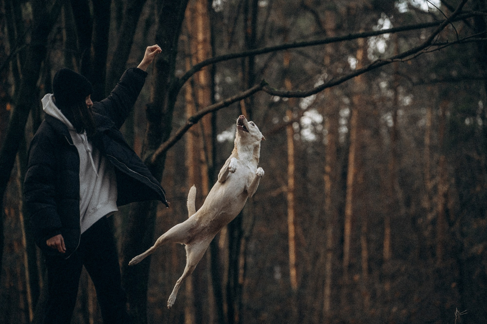 Туся. Фотограф анималист в Москве и Санкт-Петербурге Свиридова Анна