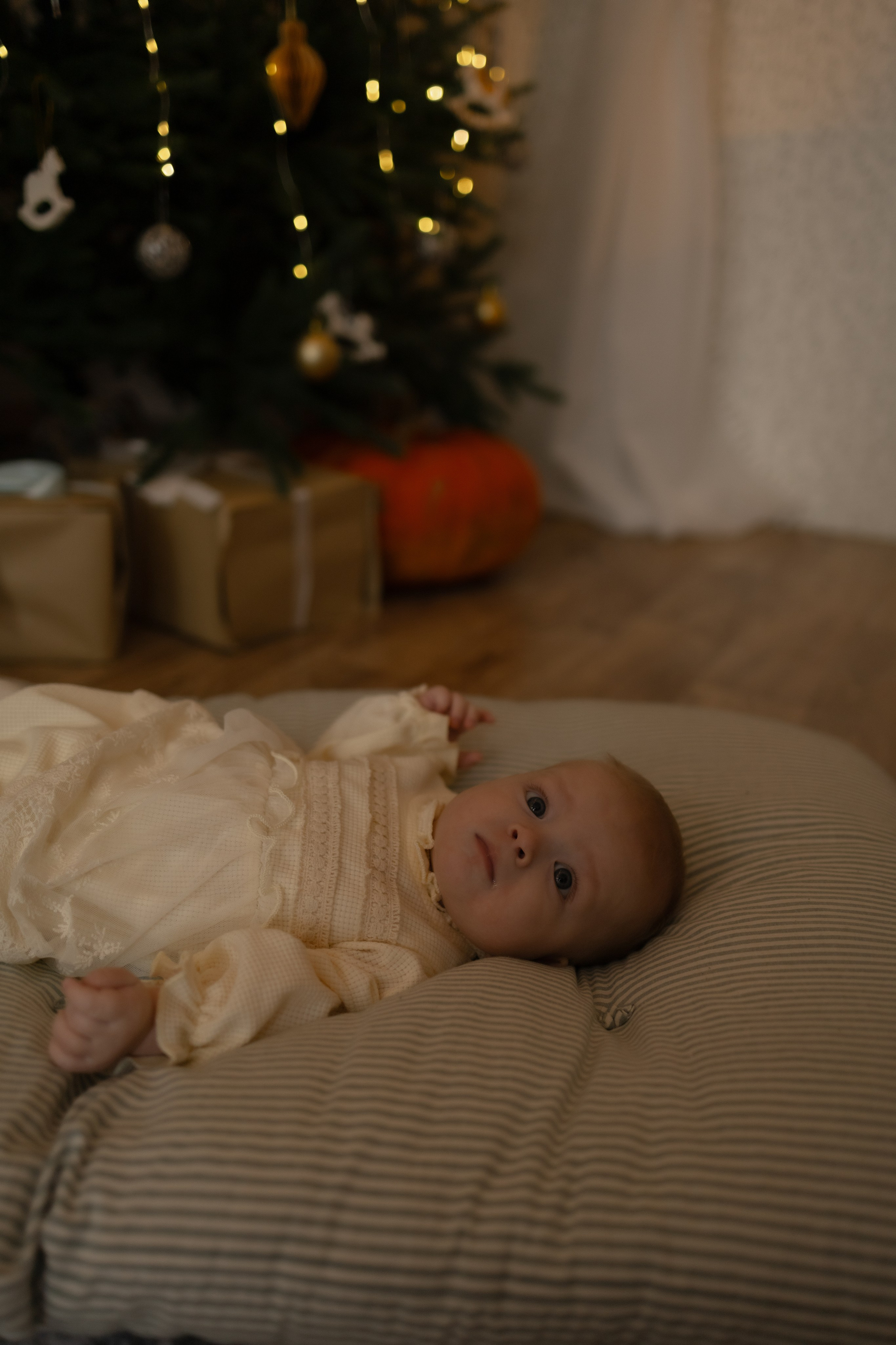 Семейная новогодняя. Фотограф Татьяна Семенова