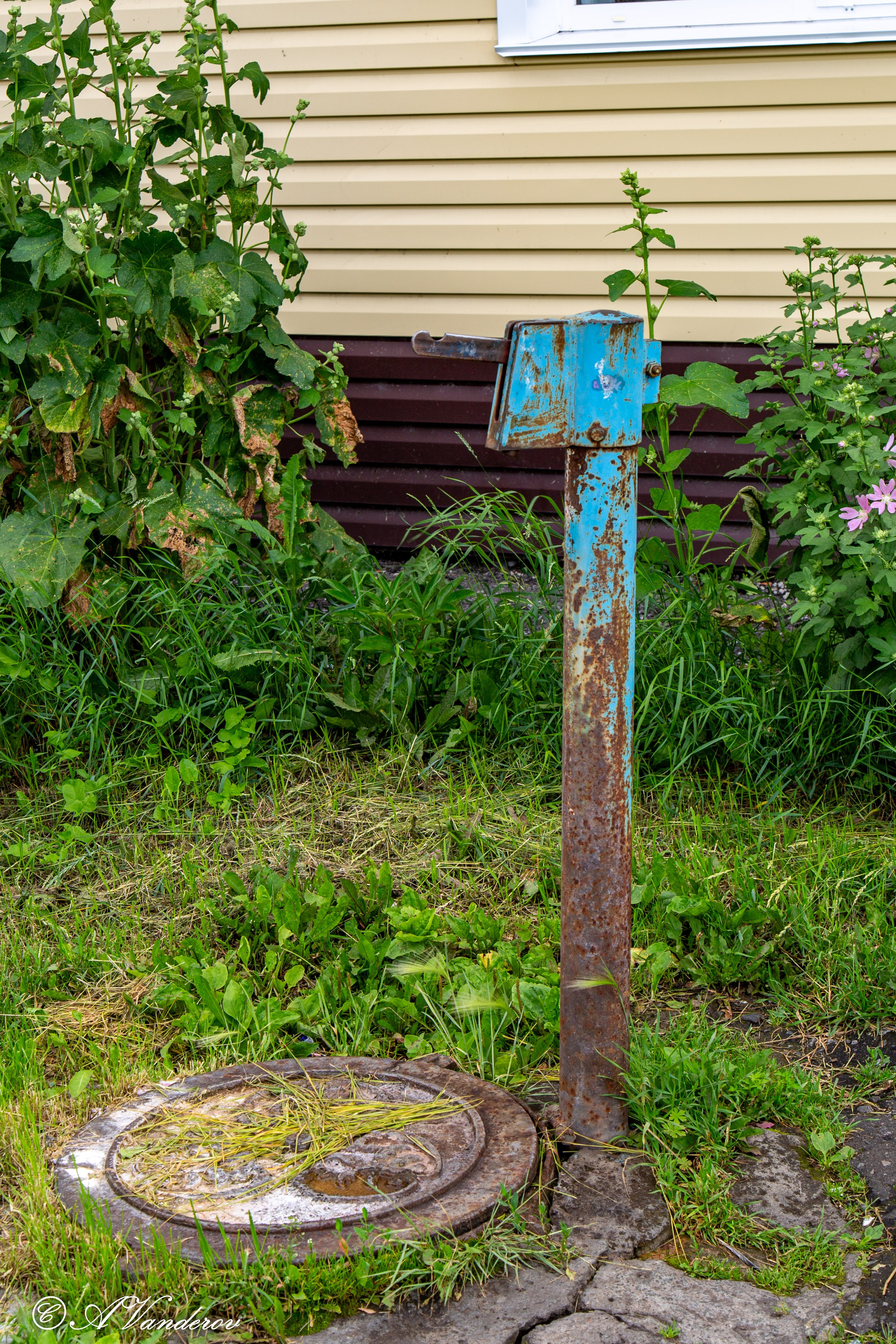 Калачинск 07.07.2024. Фотограф Омск | Александр Вандеров