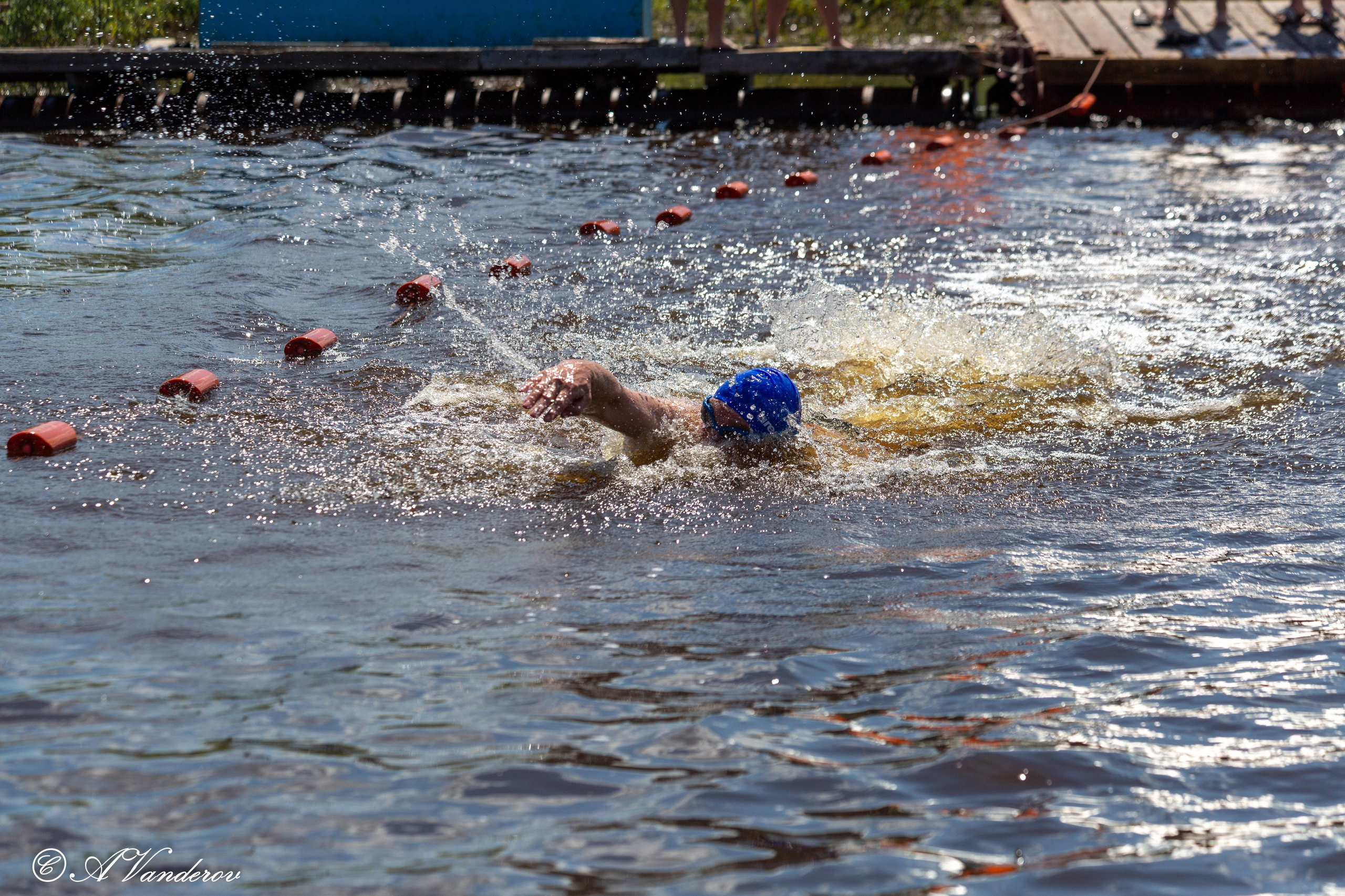 Заплыв 02.06.2024. Фотограф Омск | Александр Вандеров