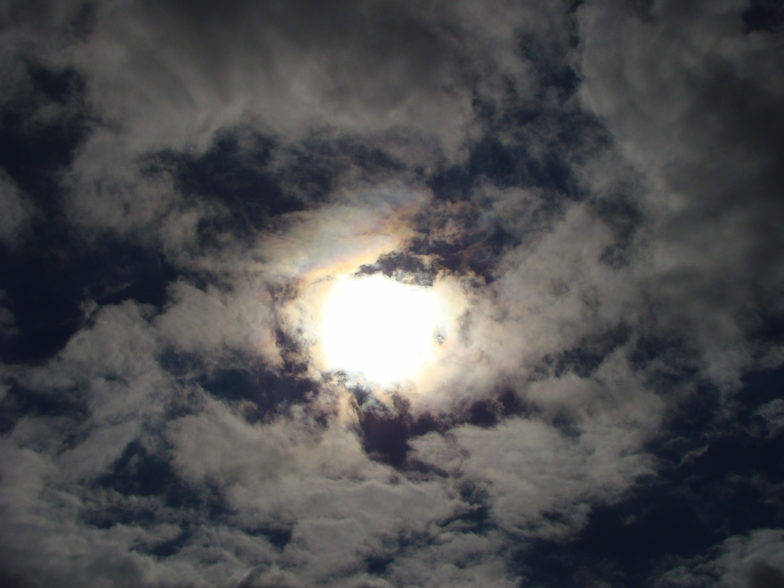 Кабардинка 25.07-01.08.2008. Семейный, Свадебный фотограф СПБ Питер— Романова Екатерина