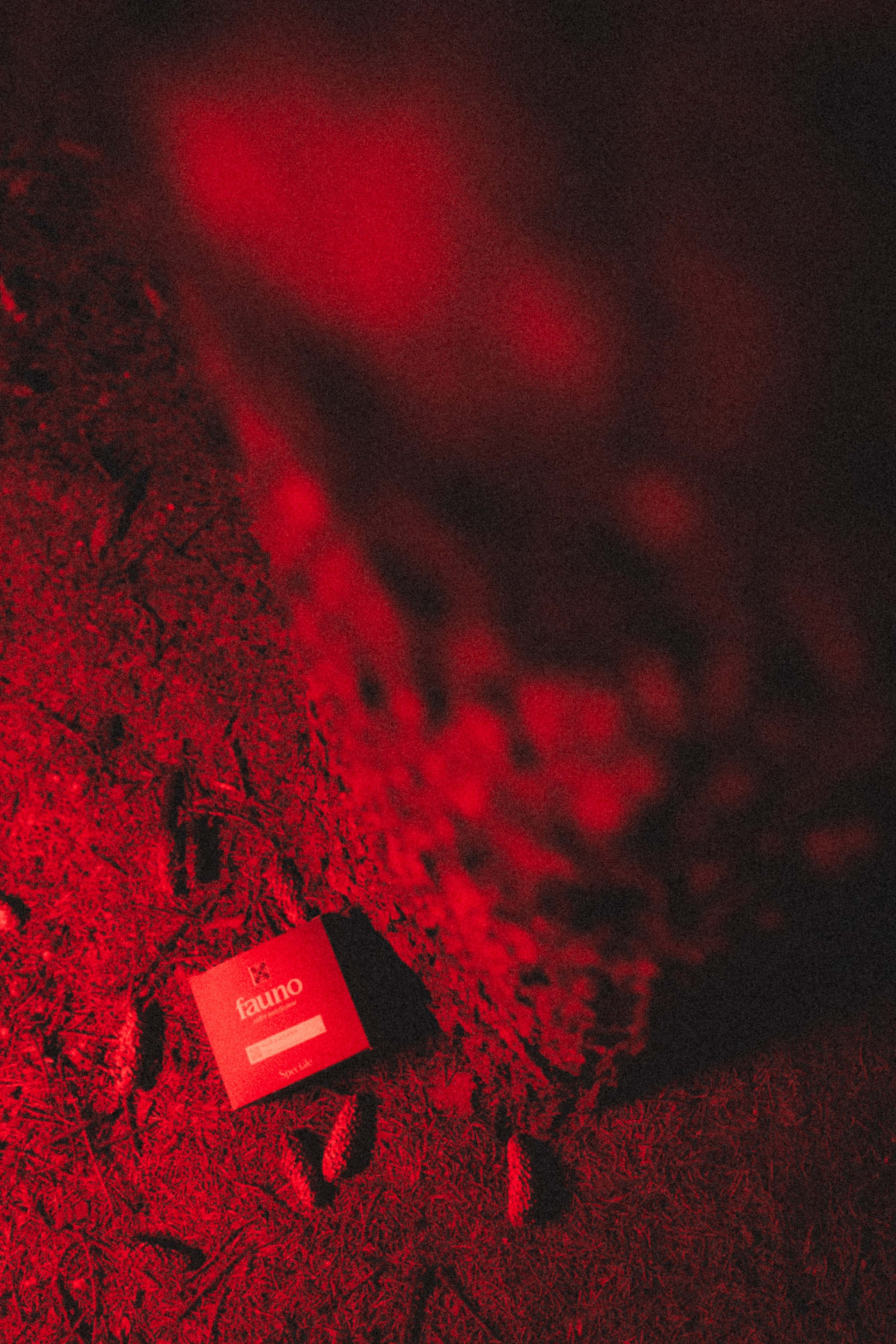 Fauno. Фотограф Илья К. в Москве