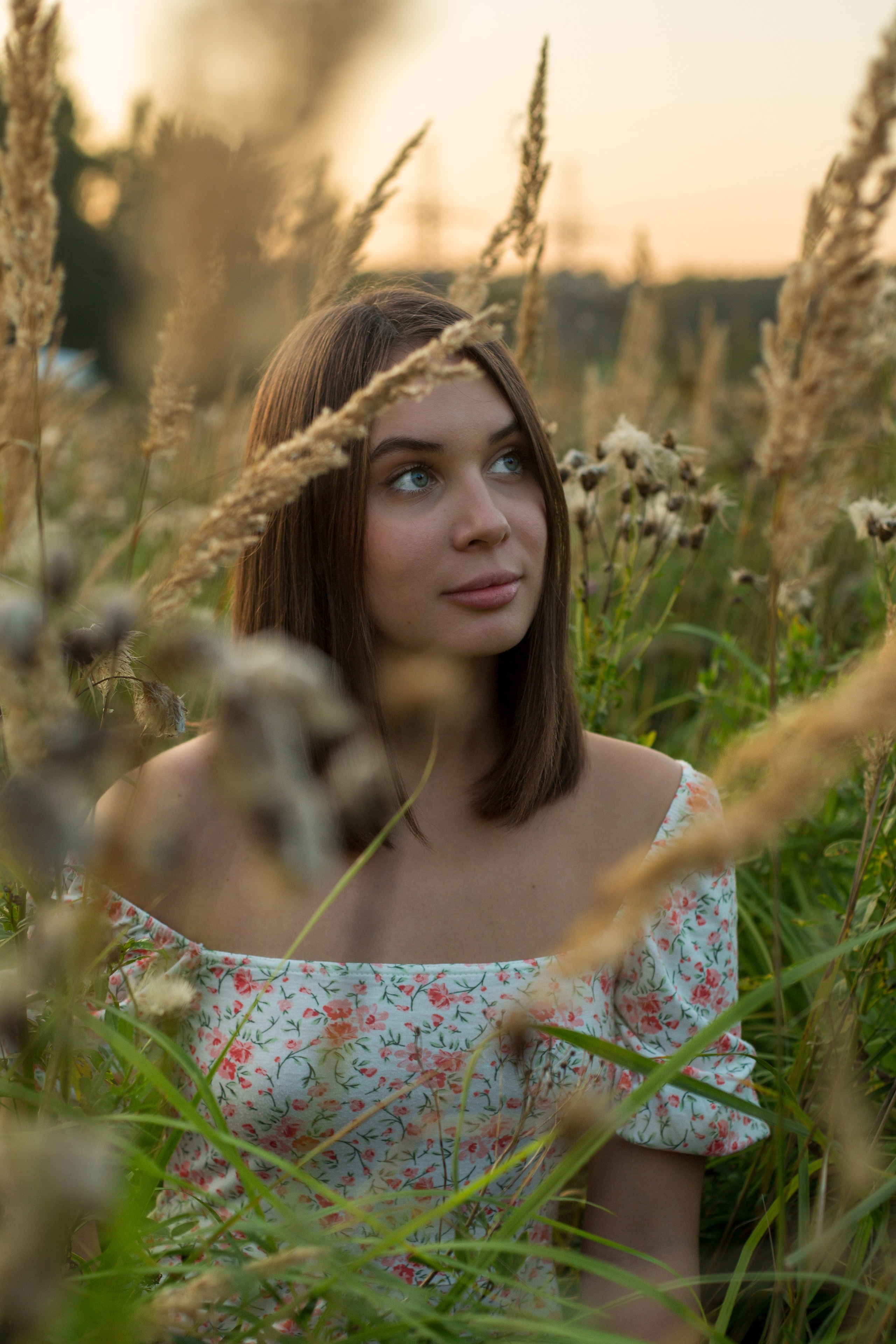 На закате дня. Khalimonov