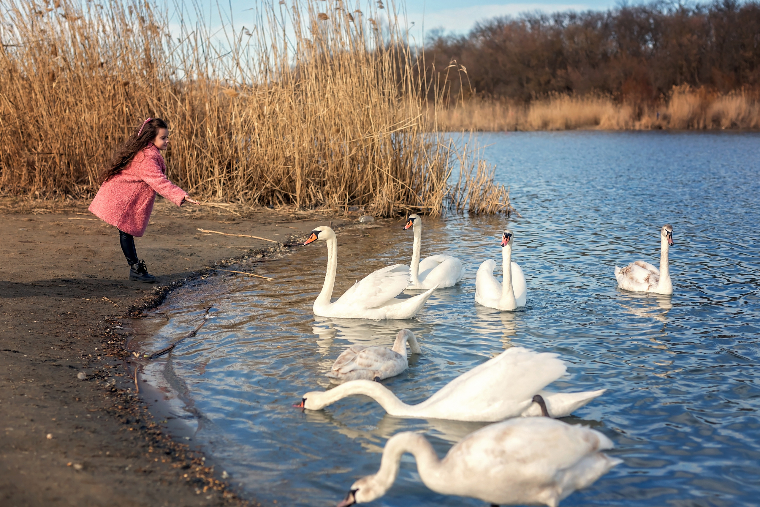 Лебединое озеро. Семейный и детский фотограф Екатерина Савёлова