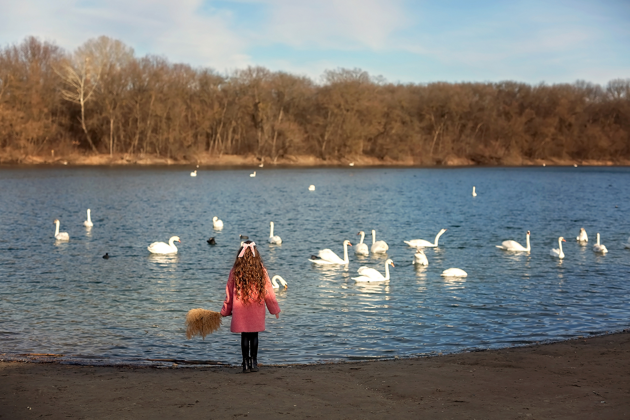 Лебединое озеро. Семейный и детский фотограф Екатерина Савёлова