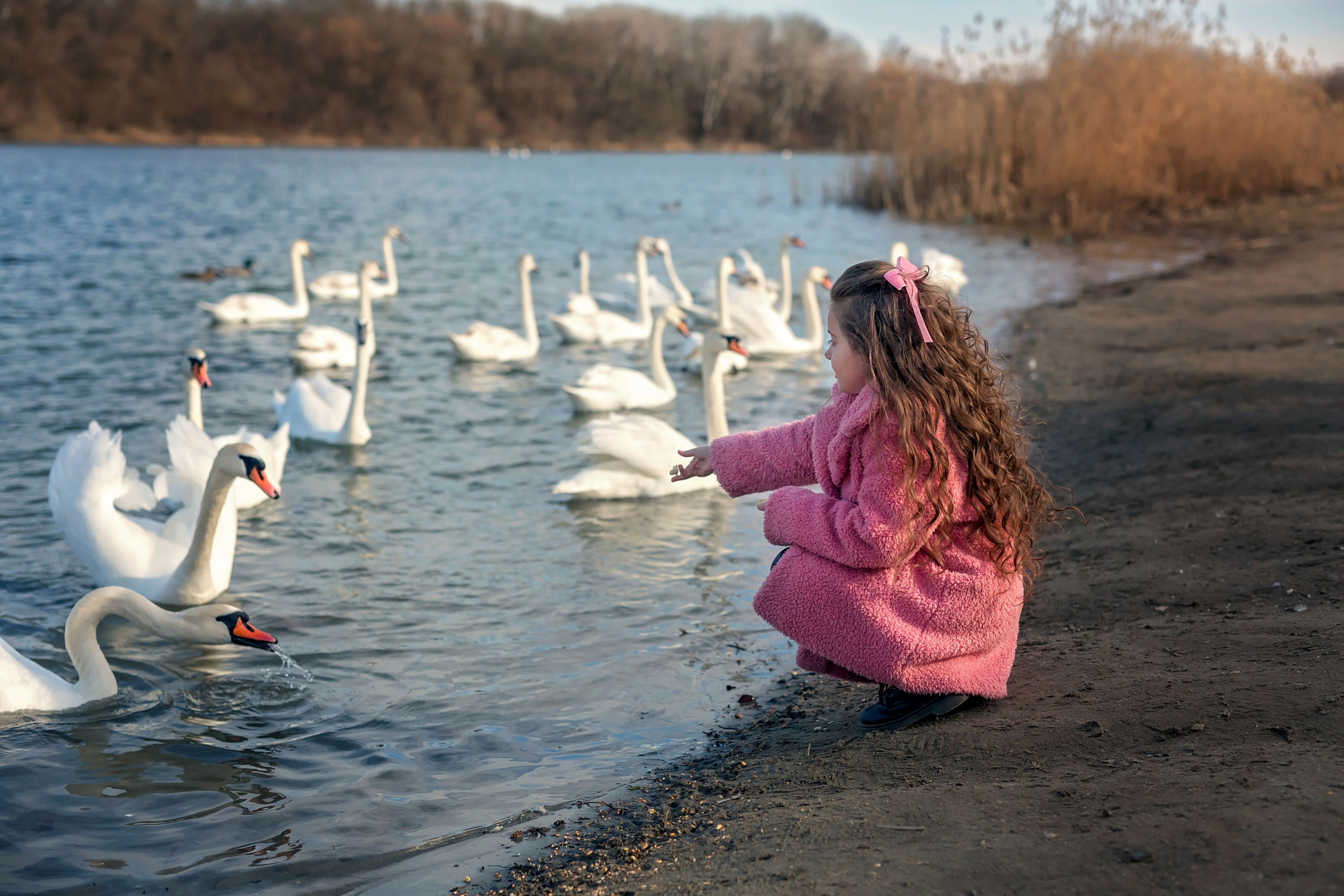 Лебединое озеро. Семейный и детский фотограф Екатерина Савёлова