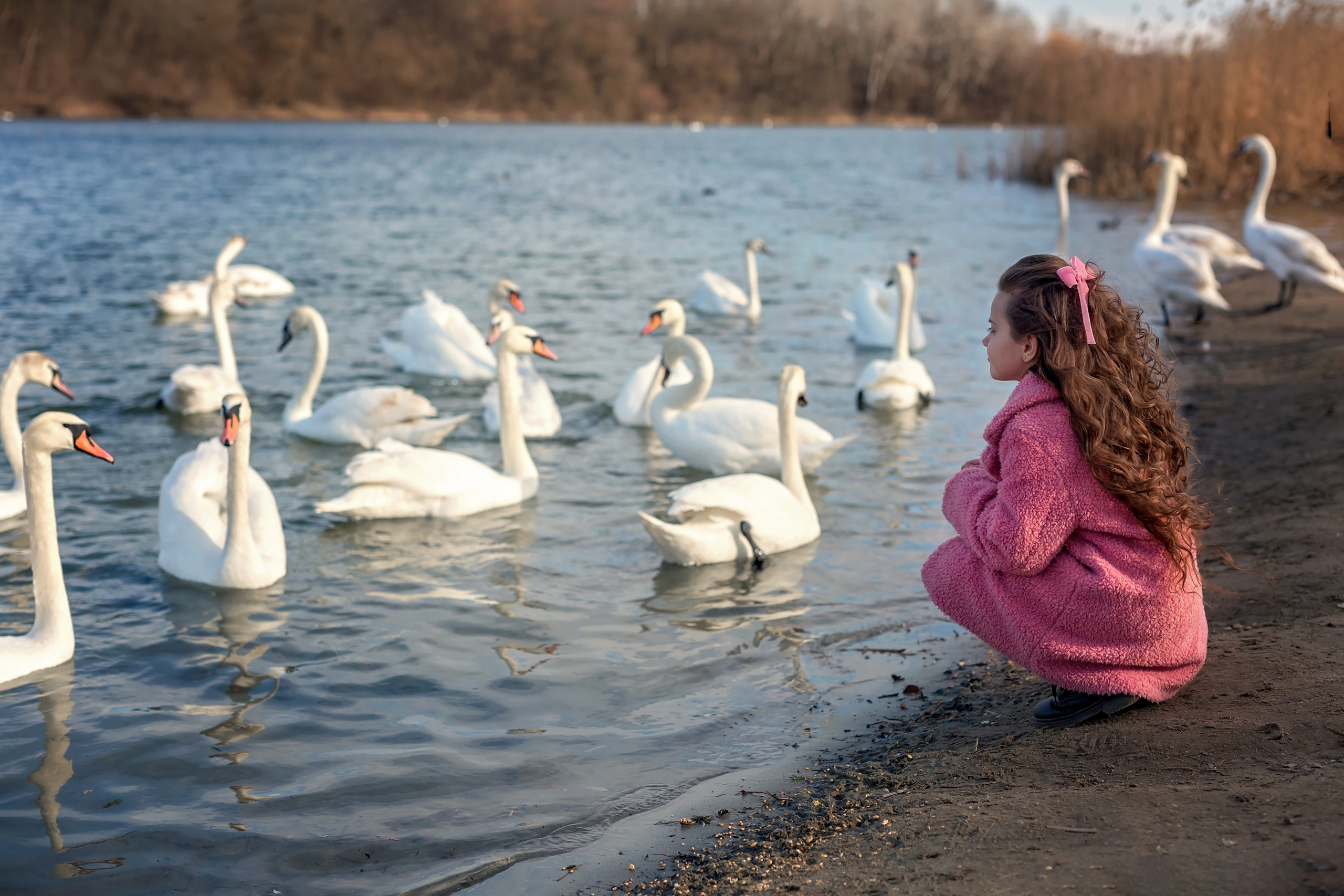 Лебединое озеро. Семейный и детский фотограф Екатерина Савёлова