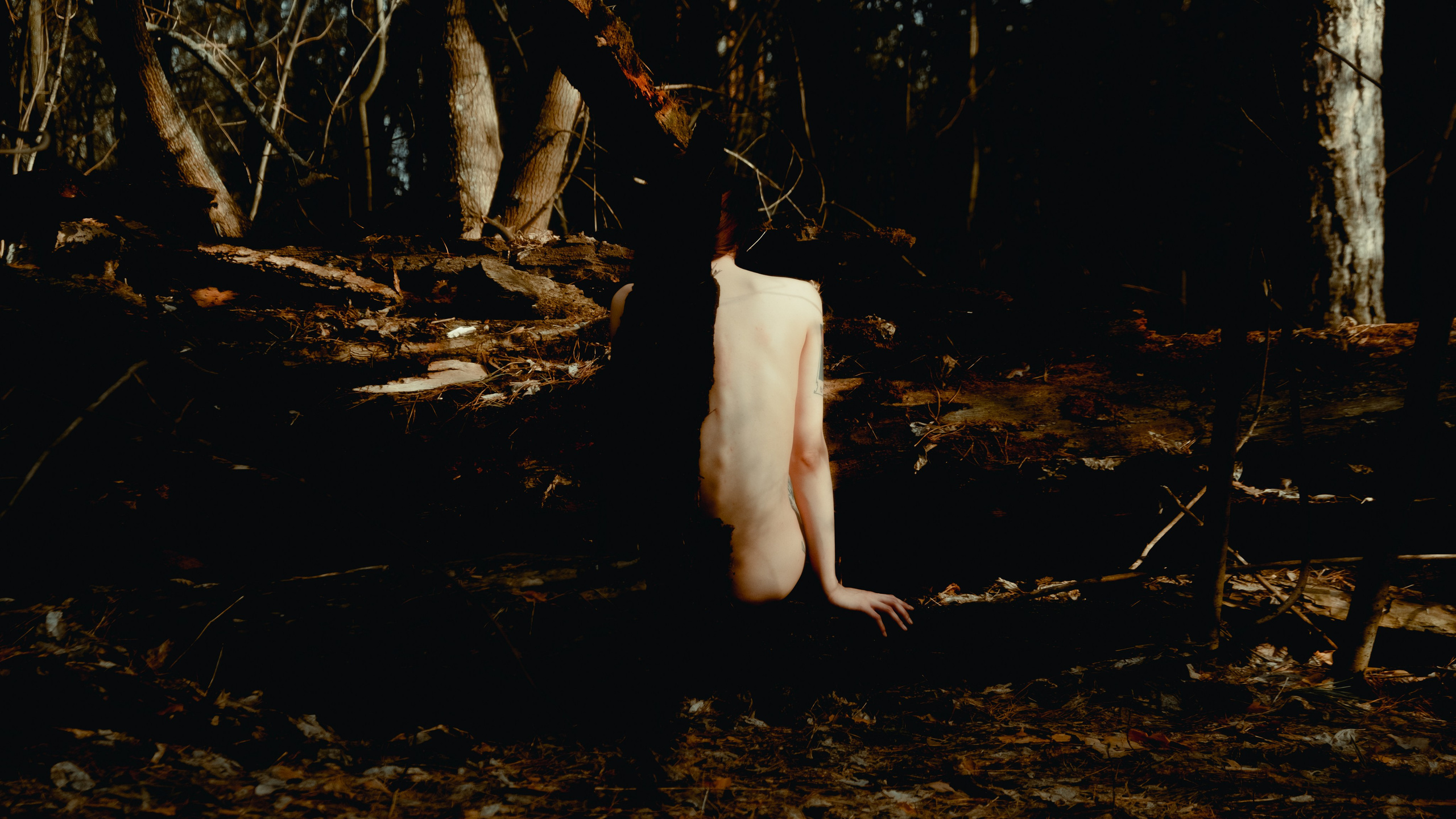 Анастасия. Лес. Дмитрий Пропадалин, Нейрофотография