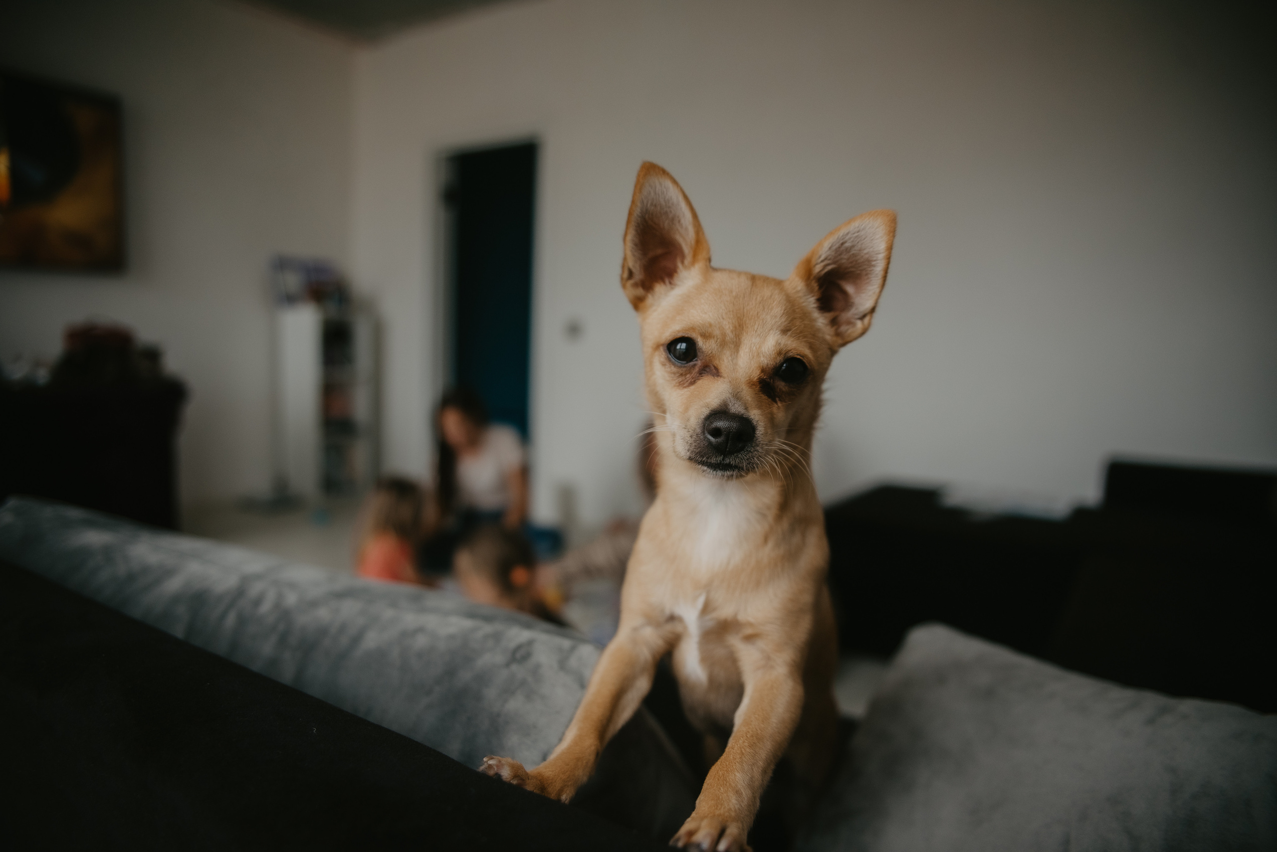 Домашние съёмки. Фотограф Надежда Московская