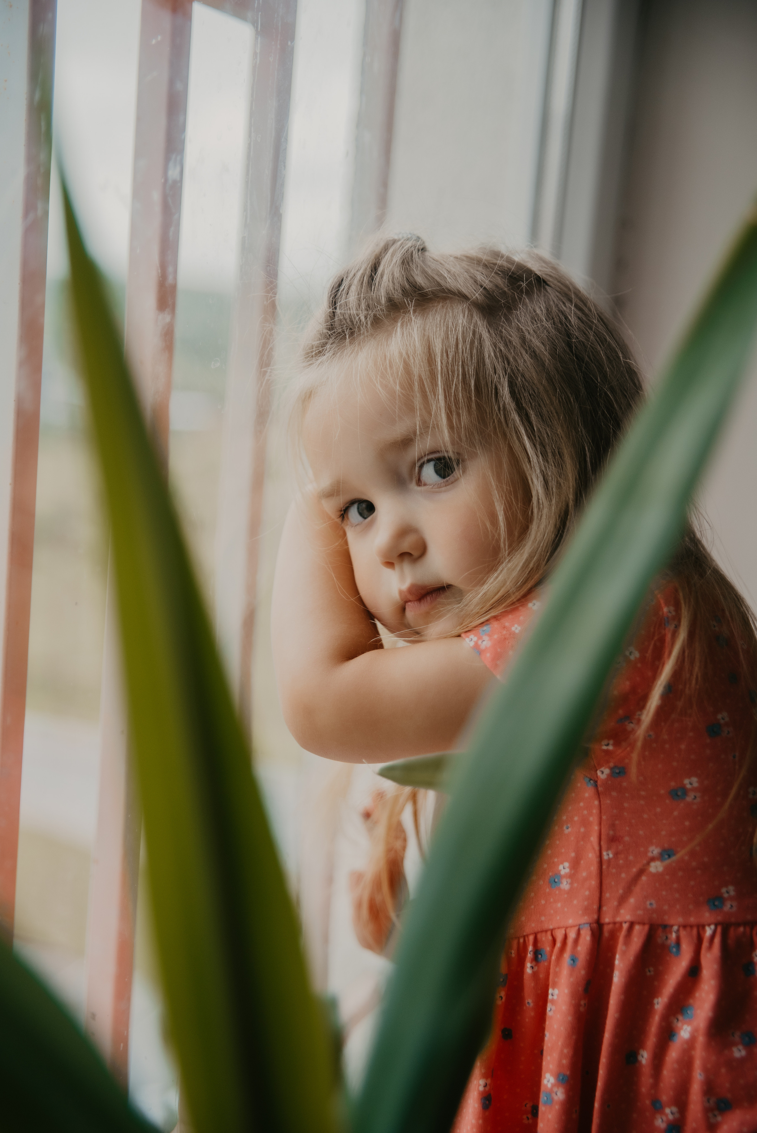 Домашние съёмки. Фотограф Надежда Московская