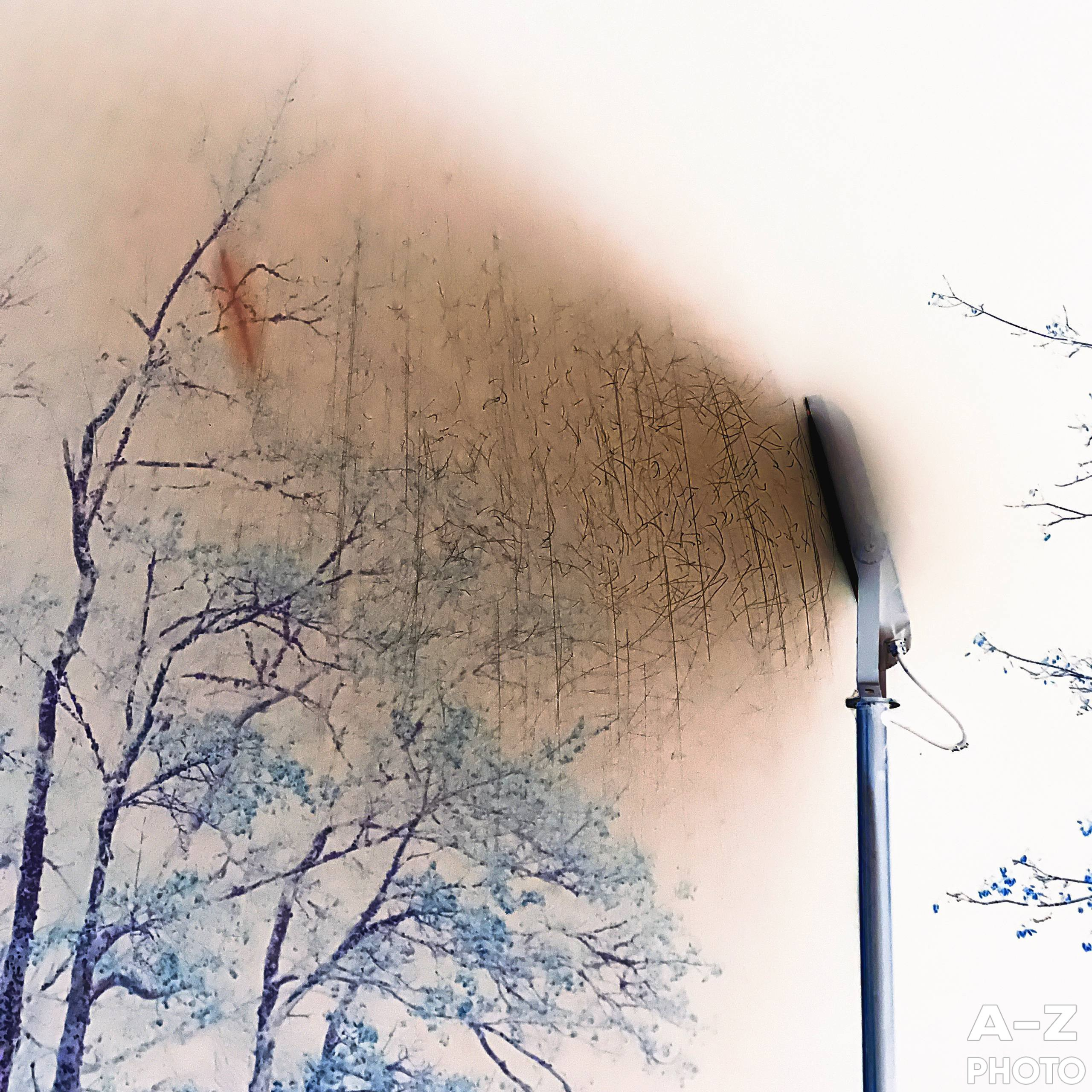 Фотонедели. Женский семейный фотограф Тула Москва Захарова Анна