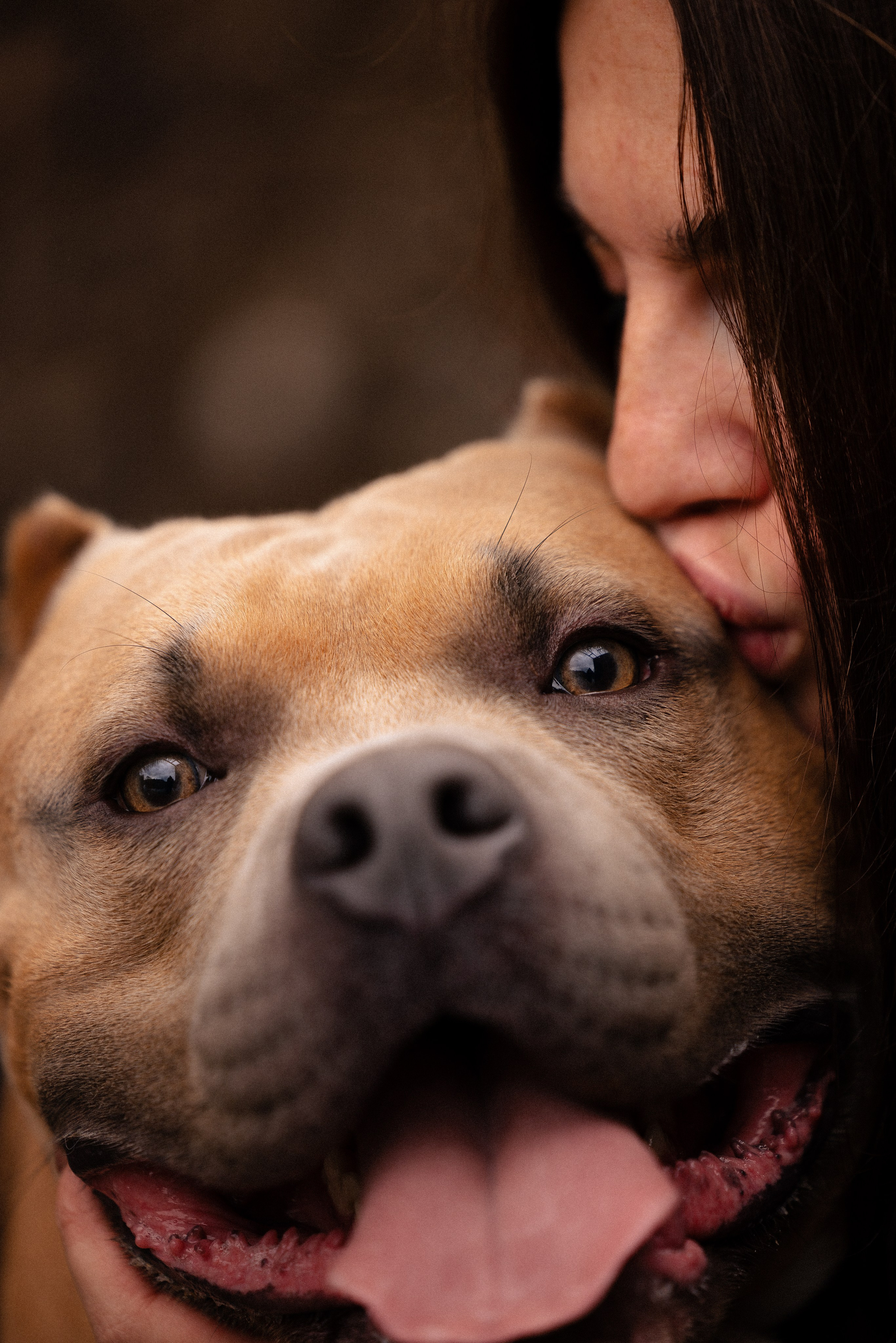 Алена и Тор. Фотограф и видеограф анималист Аганина Дарья