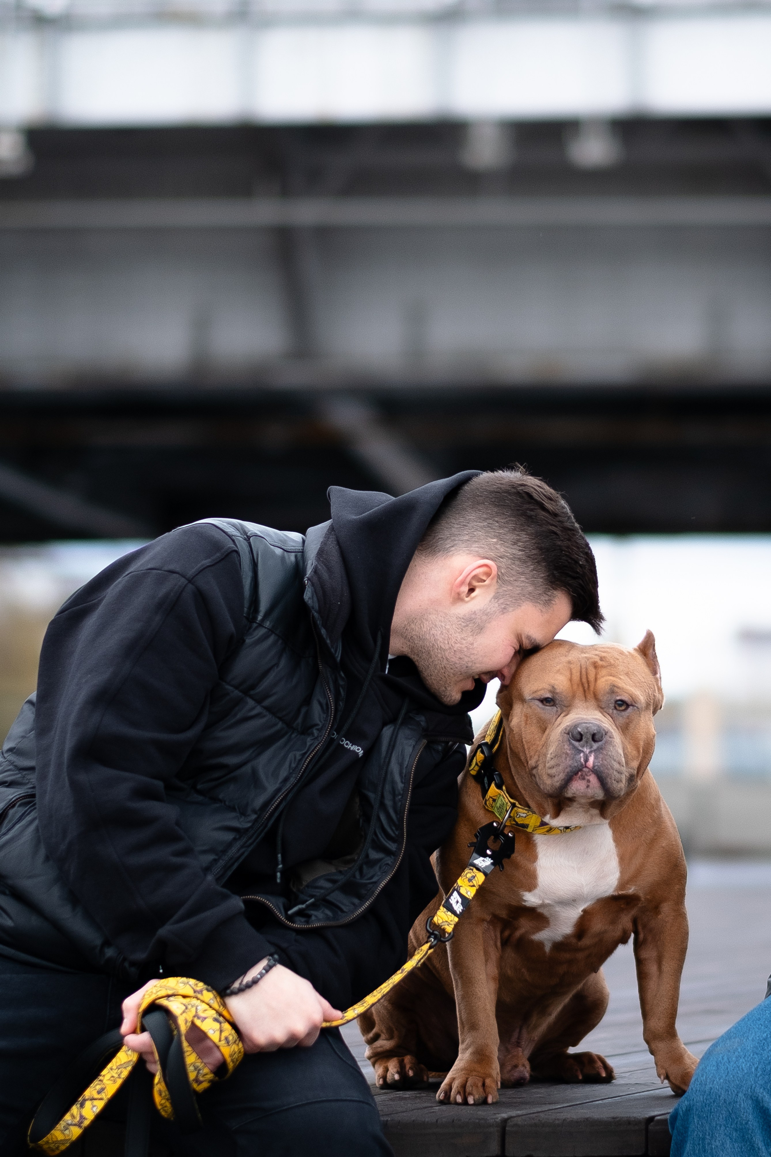 Спай и его семья. Фотограф и видеограф анималист Аганина Дарья