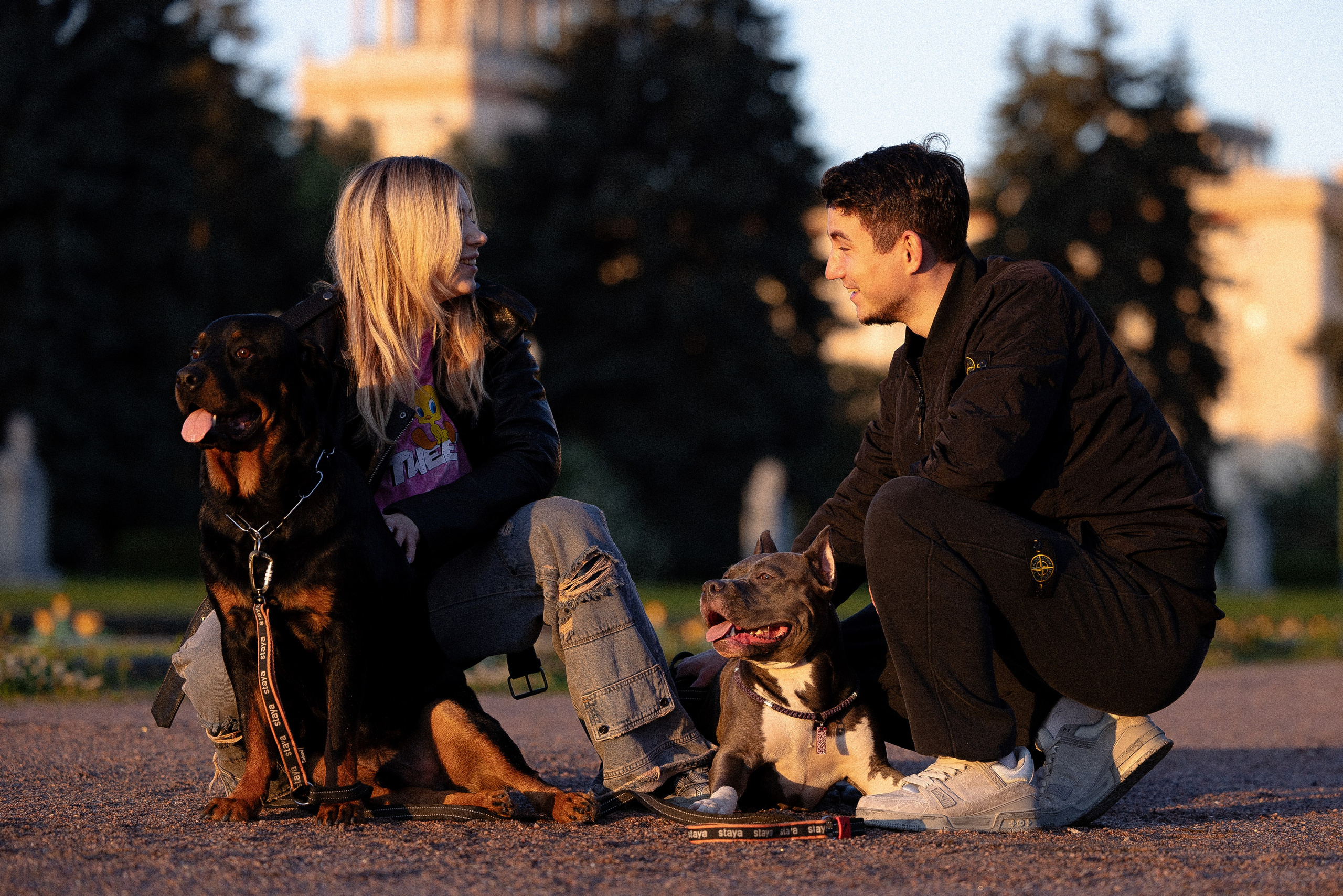 Катя, Леша, Лея и Трой. Фотограф и видеограф анималист Аганина Дарья