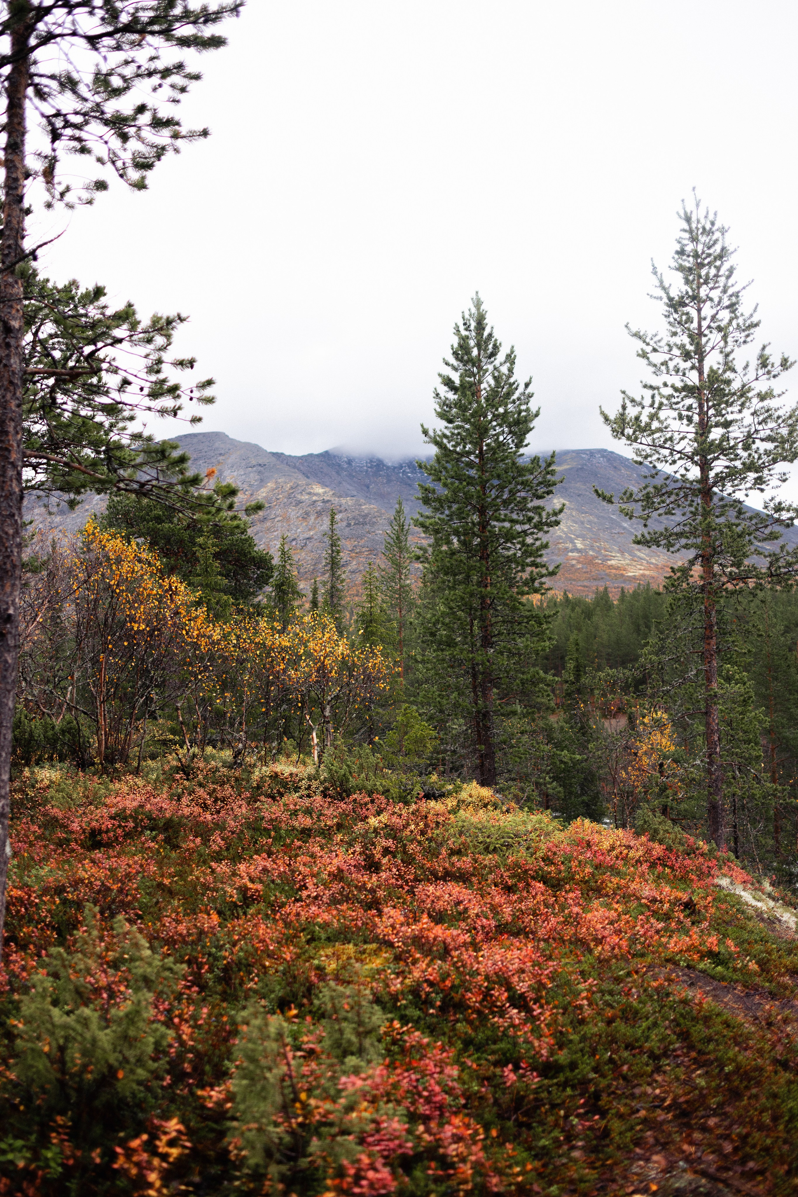 Кольский. Фотограф и видеограф анималист Аганина Дарья