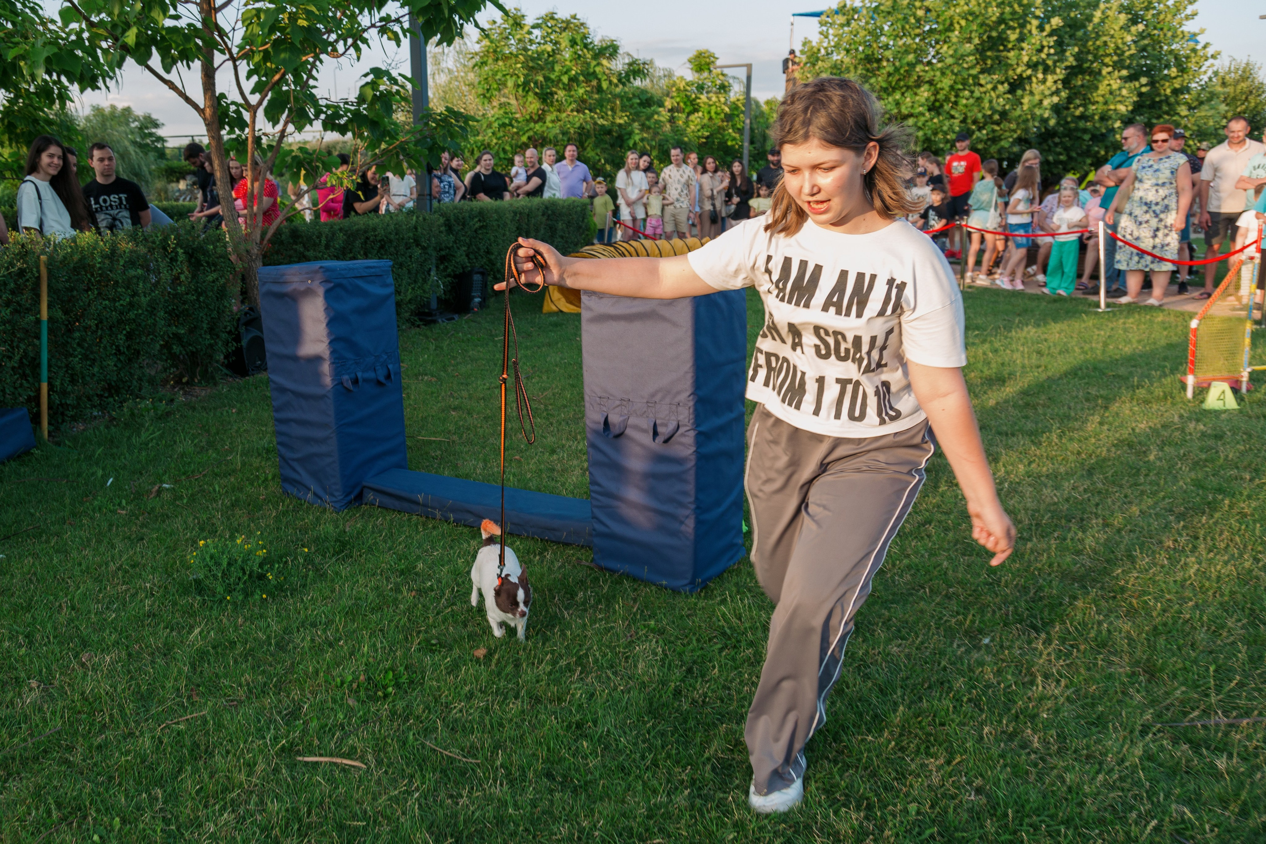 Dog Fest 2024. Главная