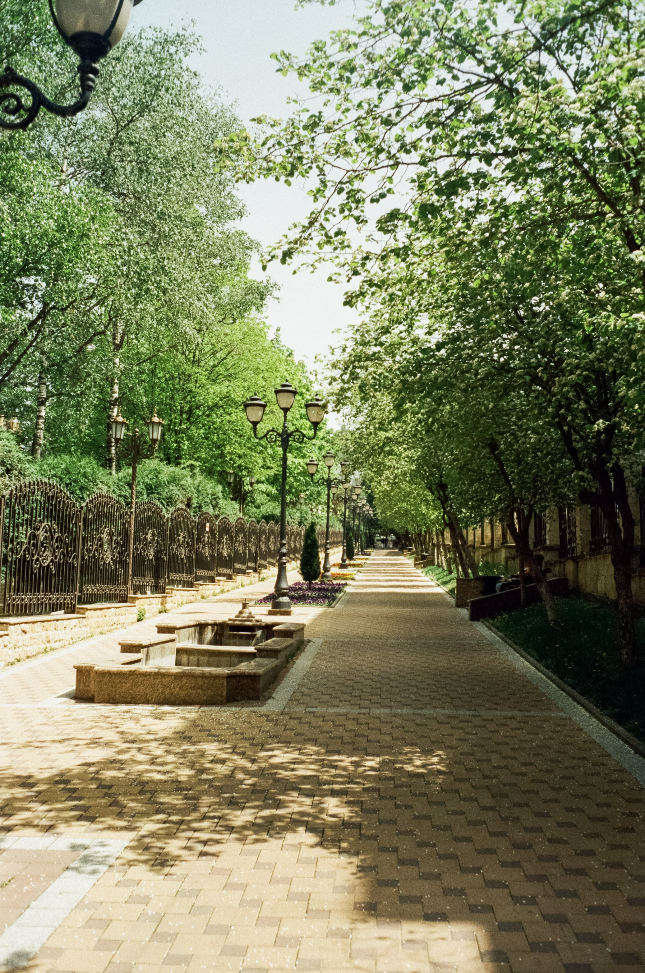 Первый день — первая прогулка по Кисловодску / Minox 35GT / SFL 250D (