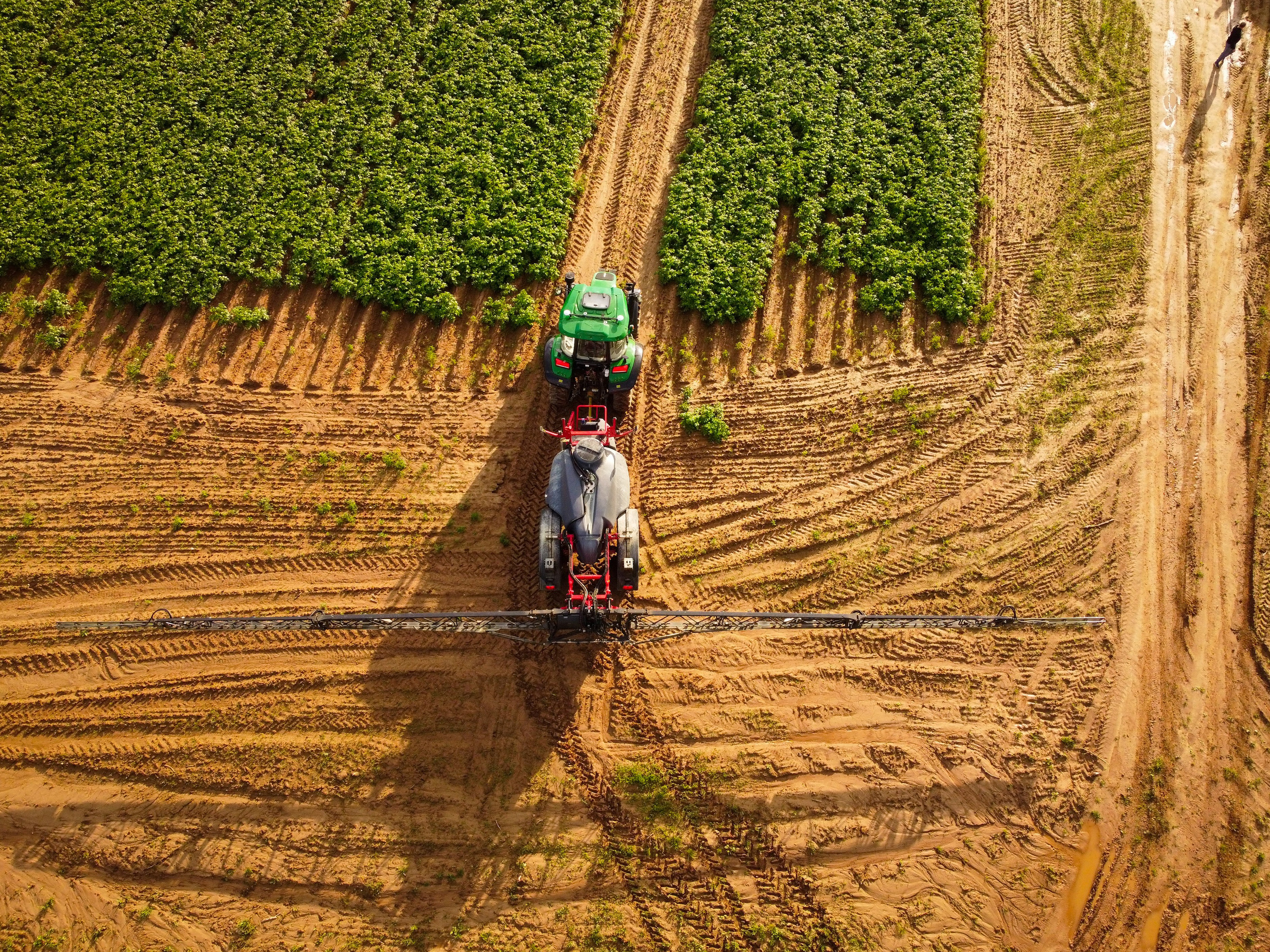 трактор при въезде на поле картофеля для его обработки