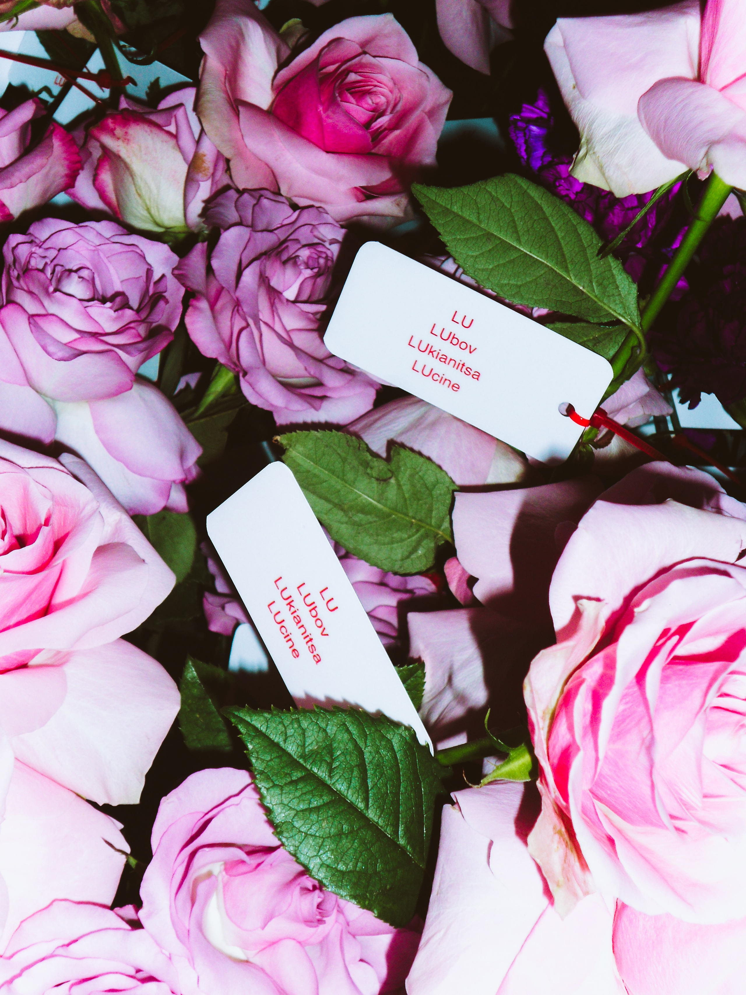 STREET STYLE PARTY. TUTSARKIS — Art Director | Stylist | Photographer