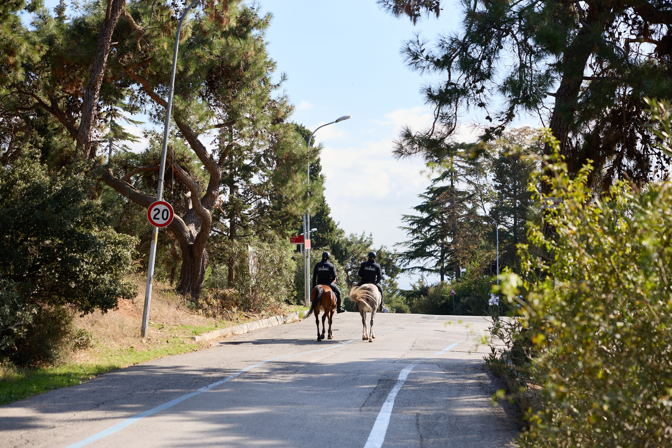 Стамбул 24. Фотограф Москва, Дима Пеллер